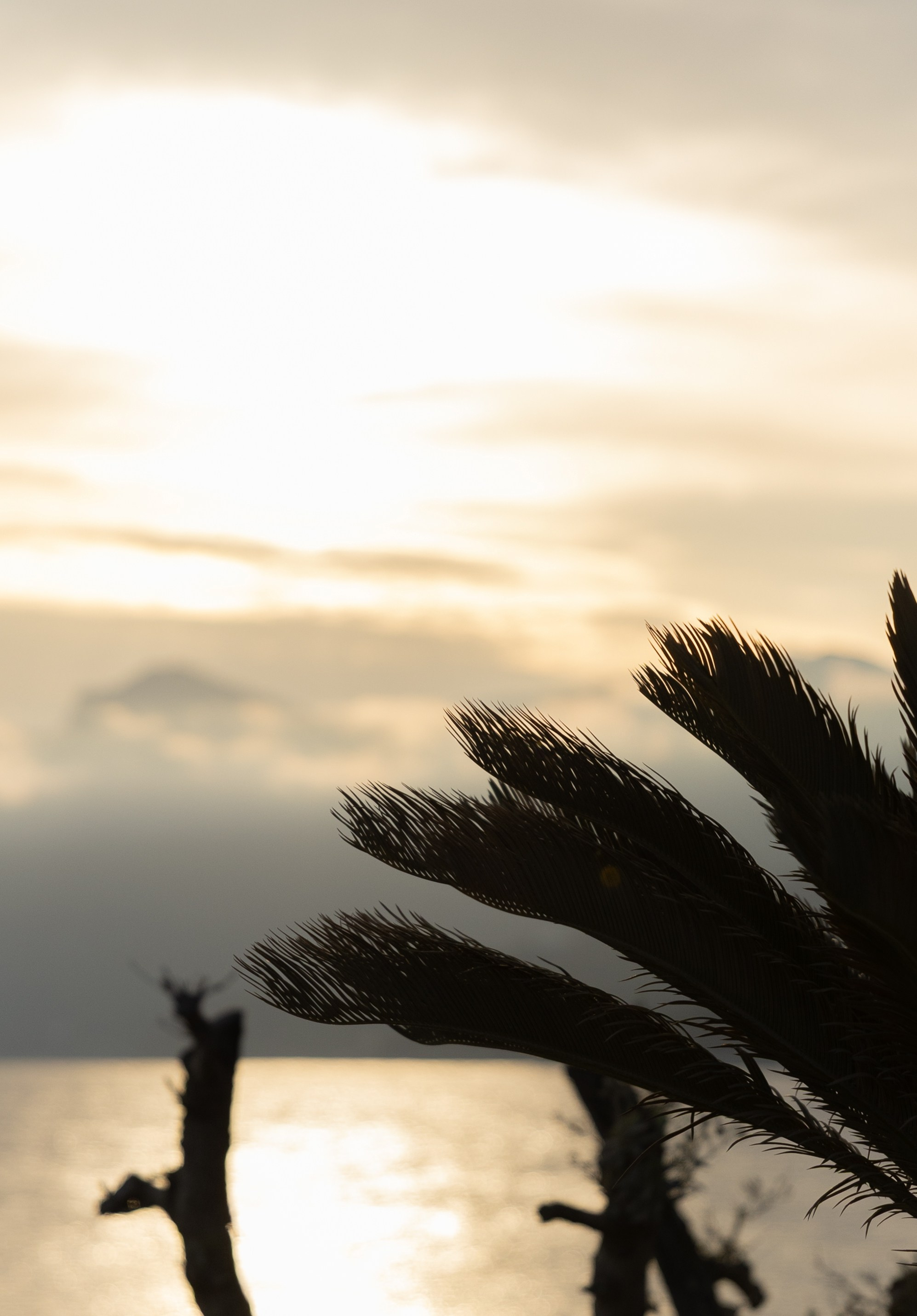 Ты — мой свет. Главная