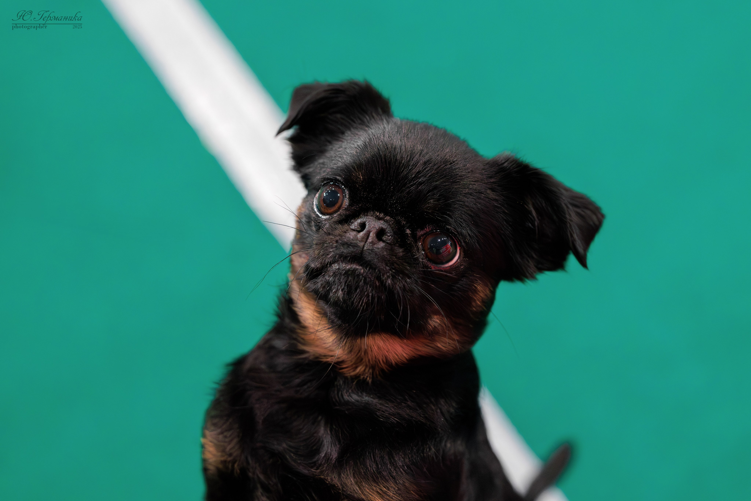 Минск 1-2.03.2025. Фотограф-анималист Юлия Германика