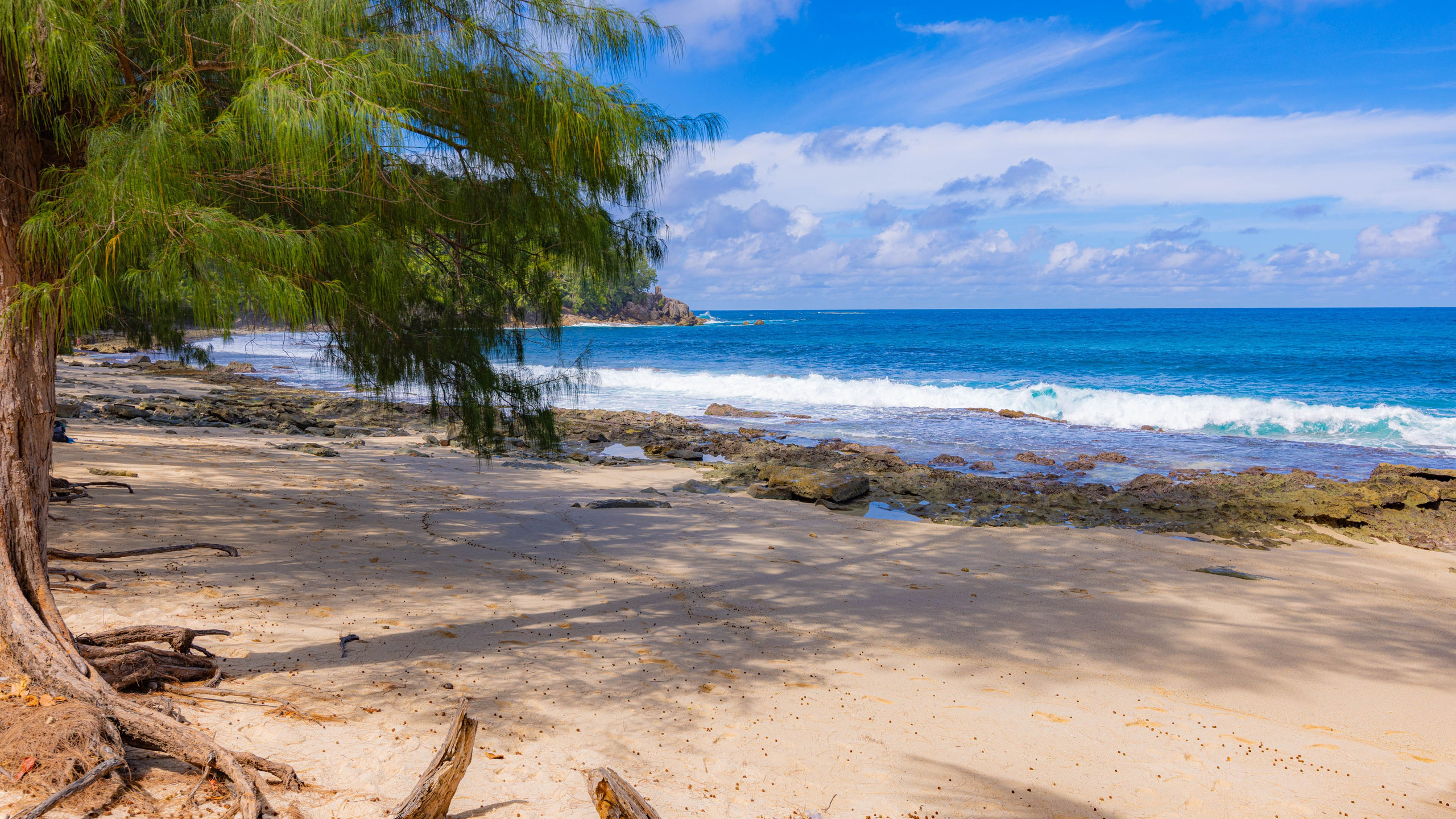 2025 07 Сейшелы (Маэ). Фотографии