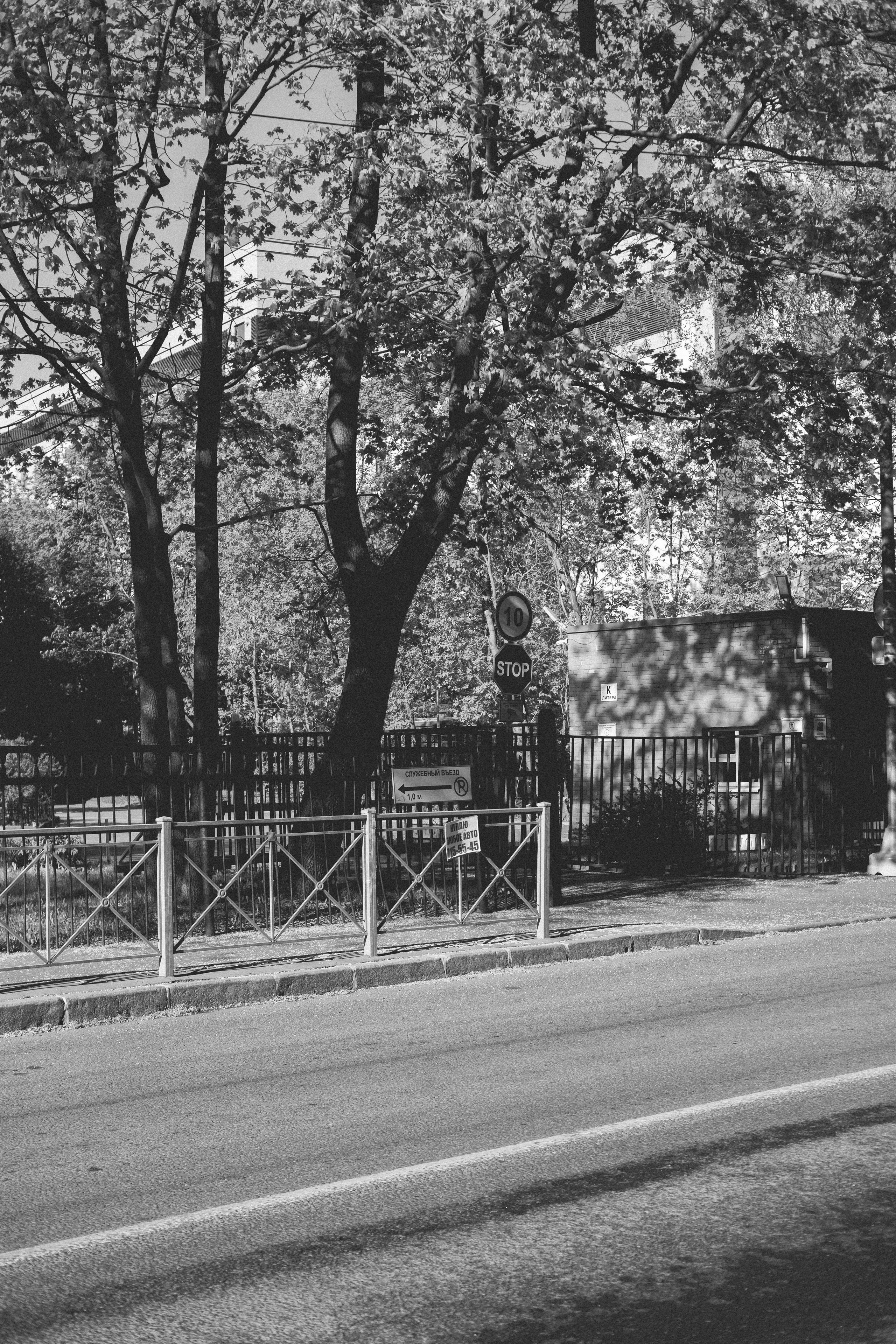 Под плёнку. Михаил Долганов