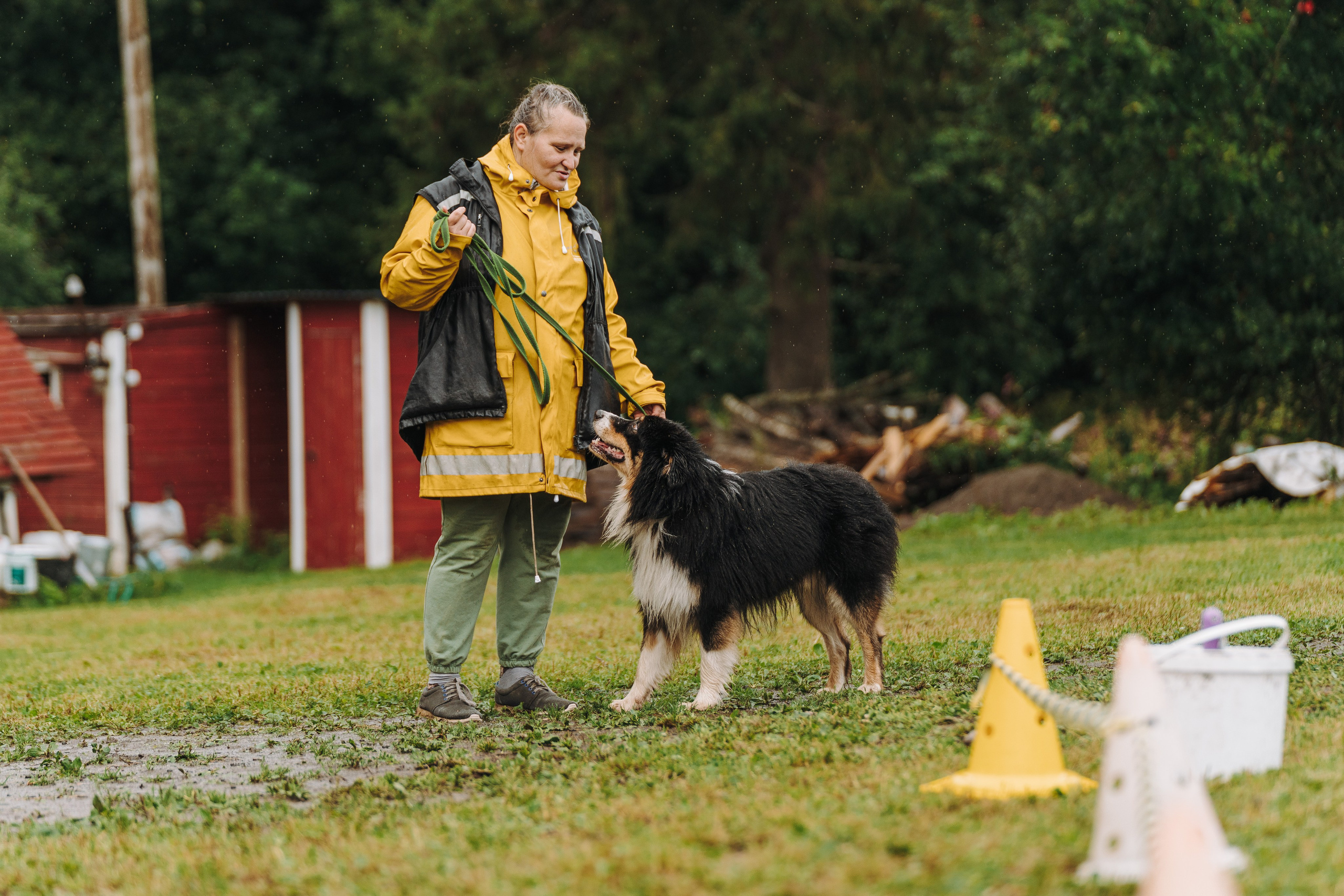 Соревнования по ноузворку в Новожилово. Фотограф анималист в Спб недорого Олеся Майорова