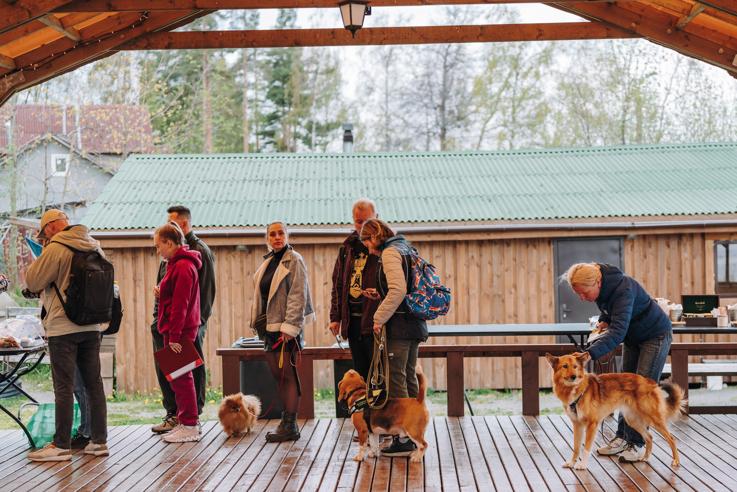 Соревнования по ноузворку в Лосево. Фотограф анималист в Спб недорого Олеся Майорова