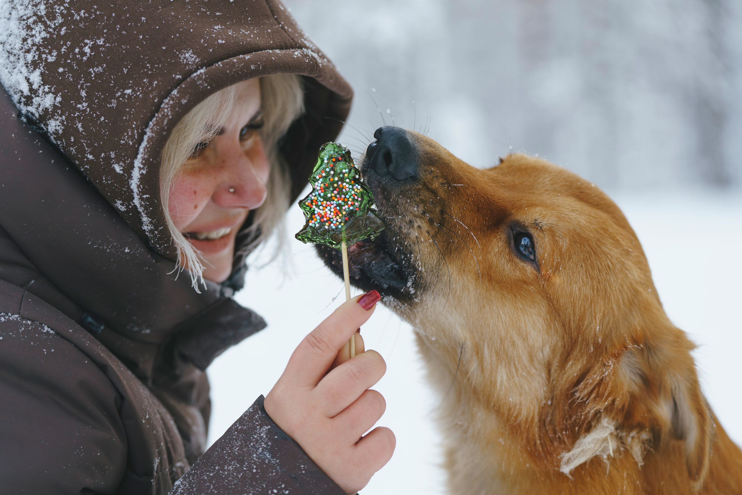 Рэй, Кузя, Ольга и Александр. Фотограф анималист в Спб недорого Олеся Майорова