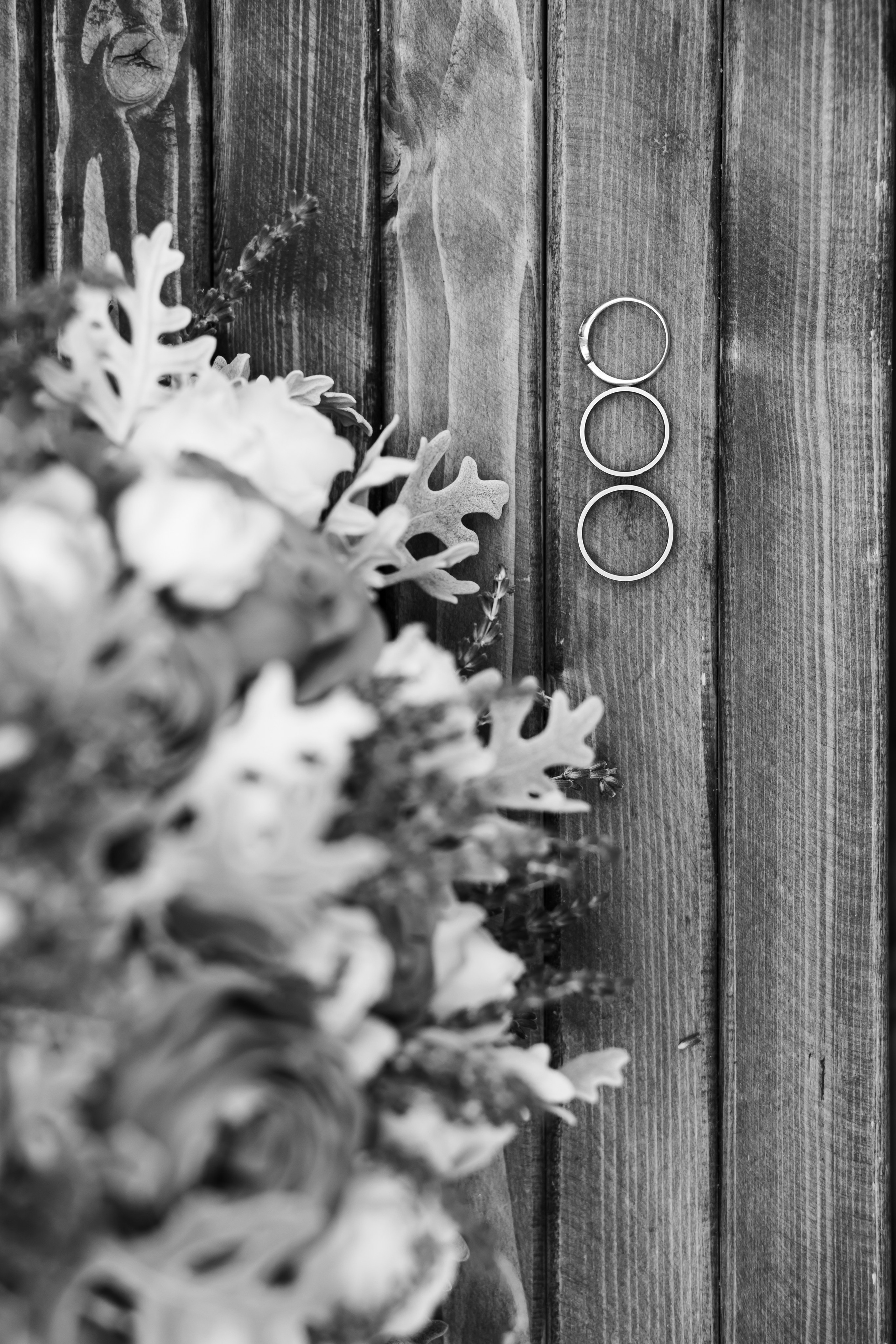 Свадьба Татьяны и Андрея. Свадебный фотограф Татьяна Фот