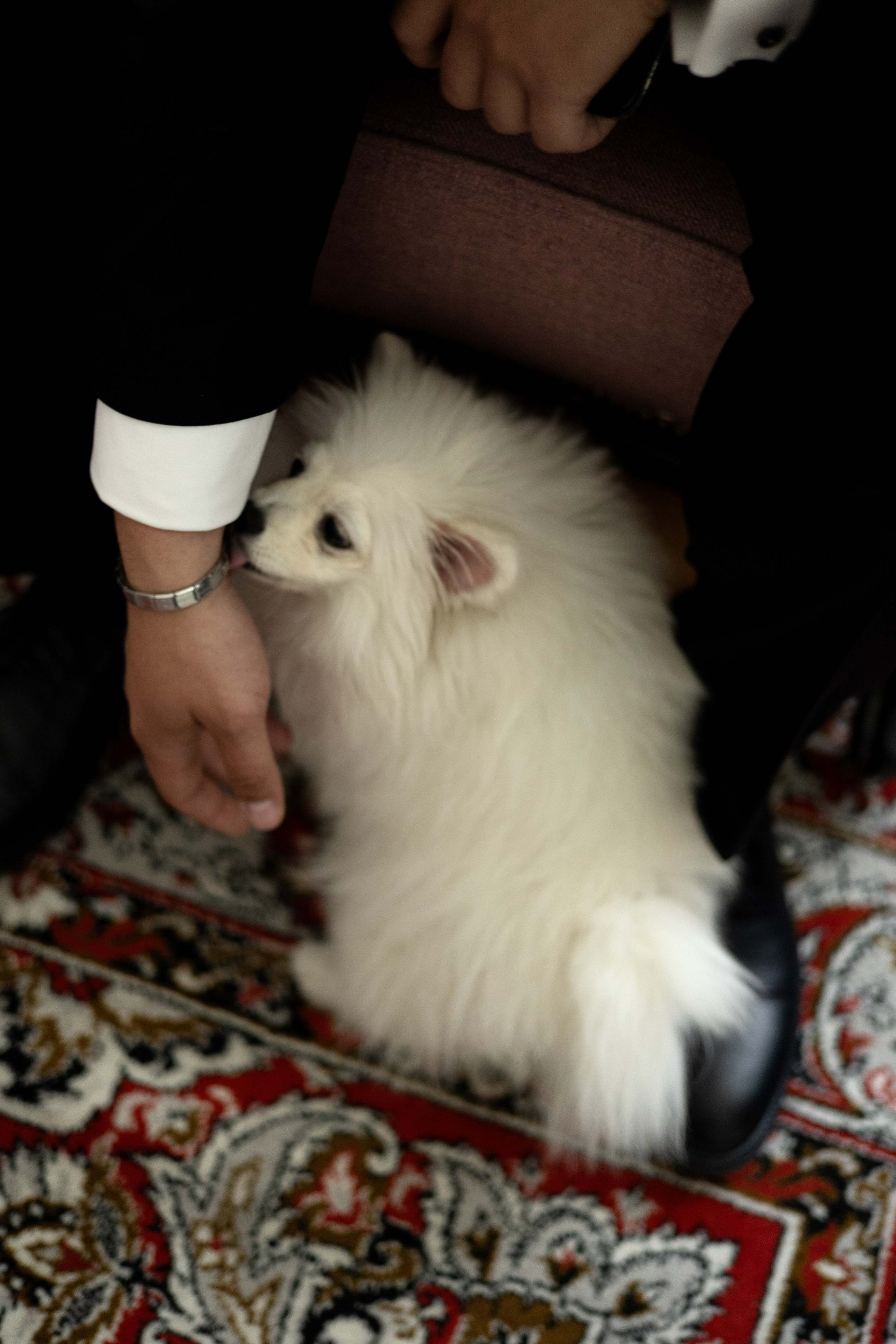 Свадьба Карина и Никиты в Усадьбе. Фотограф в Калининграде Сокирко Светлана