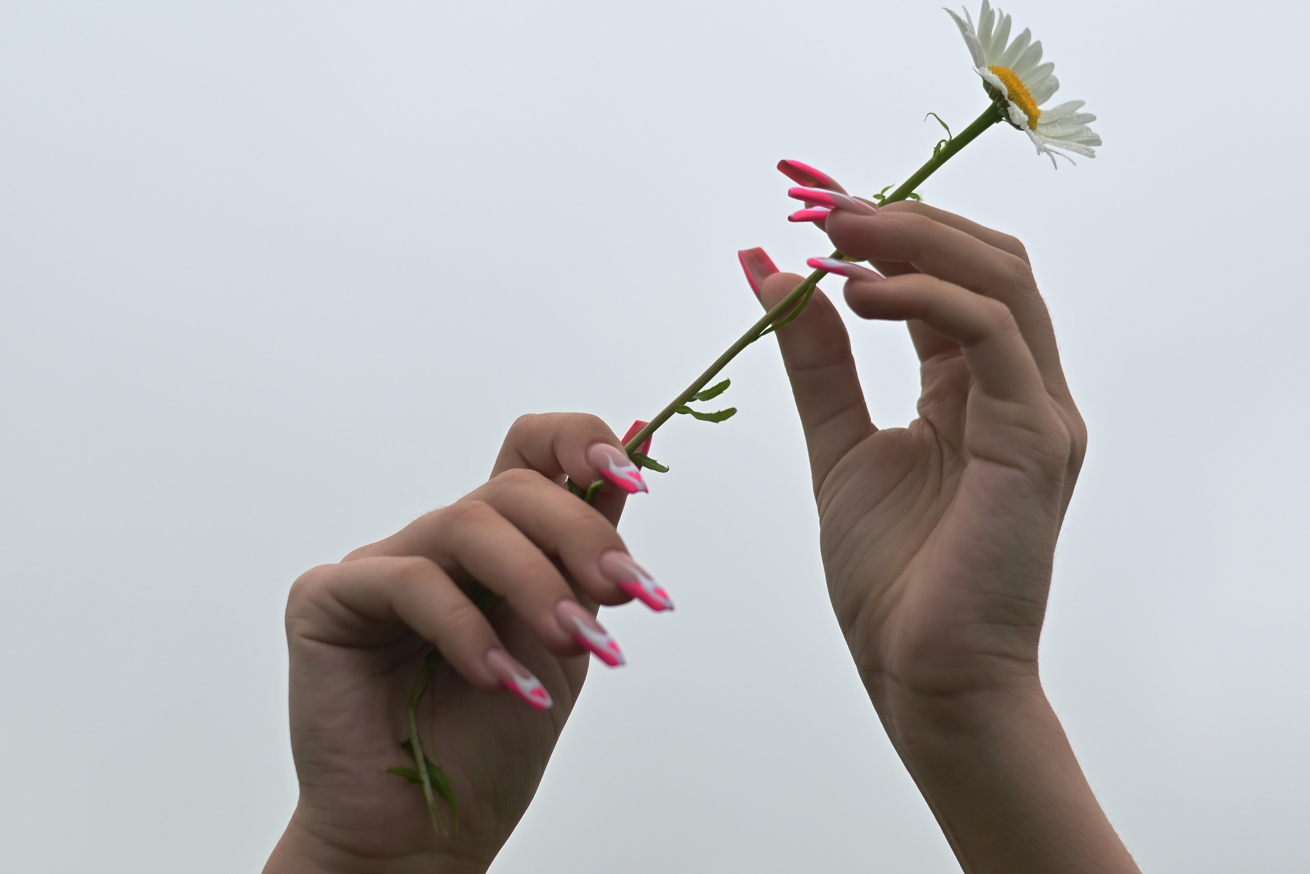 Портретный фотограф в Санкт-Петербурге Никита Новгородцев