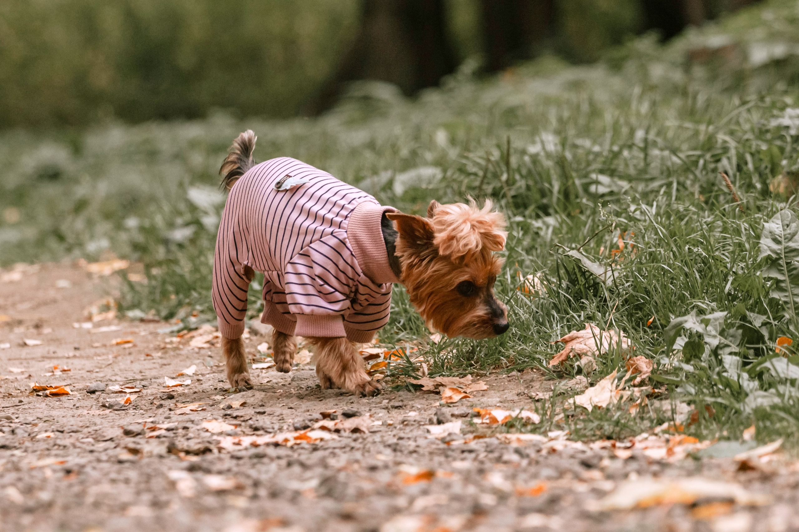 Катя и Моня. Фотограф-анималист Татьяна Степанова