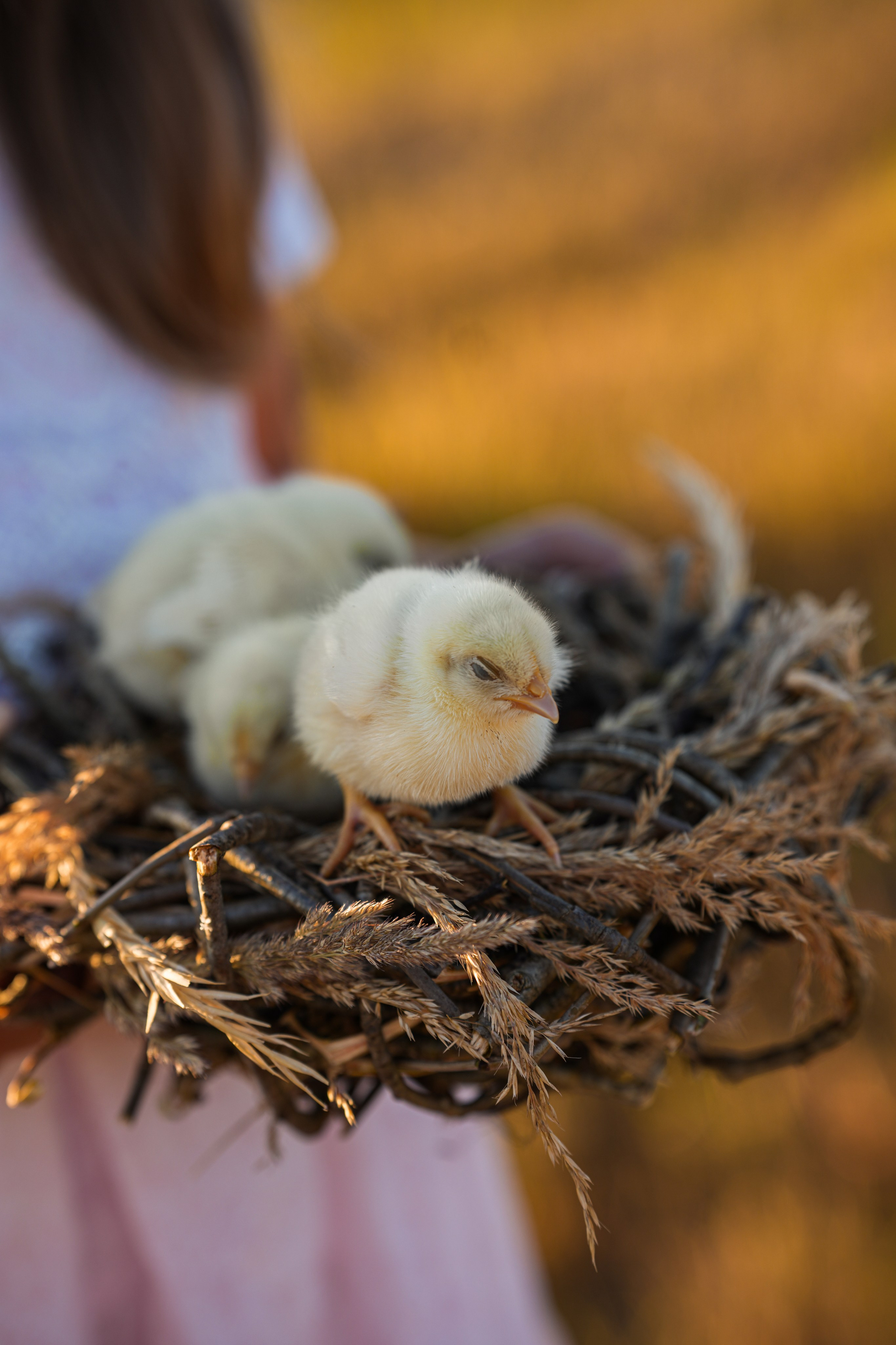 Семейная и детская сьемка. Семейный и портретный фотограф в Санкт-Петербурге Татьяна Гримоть