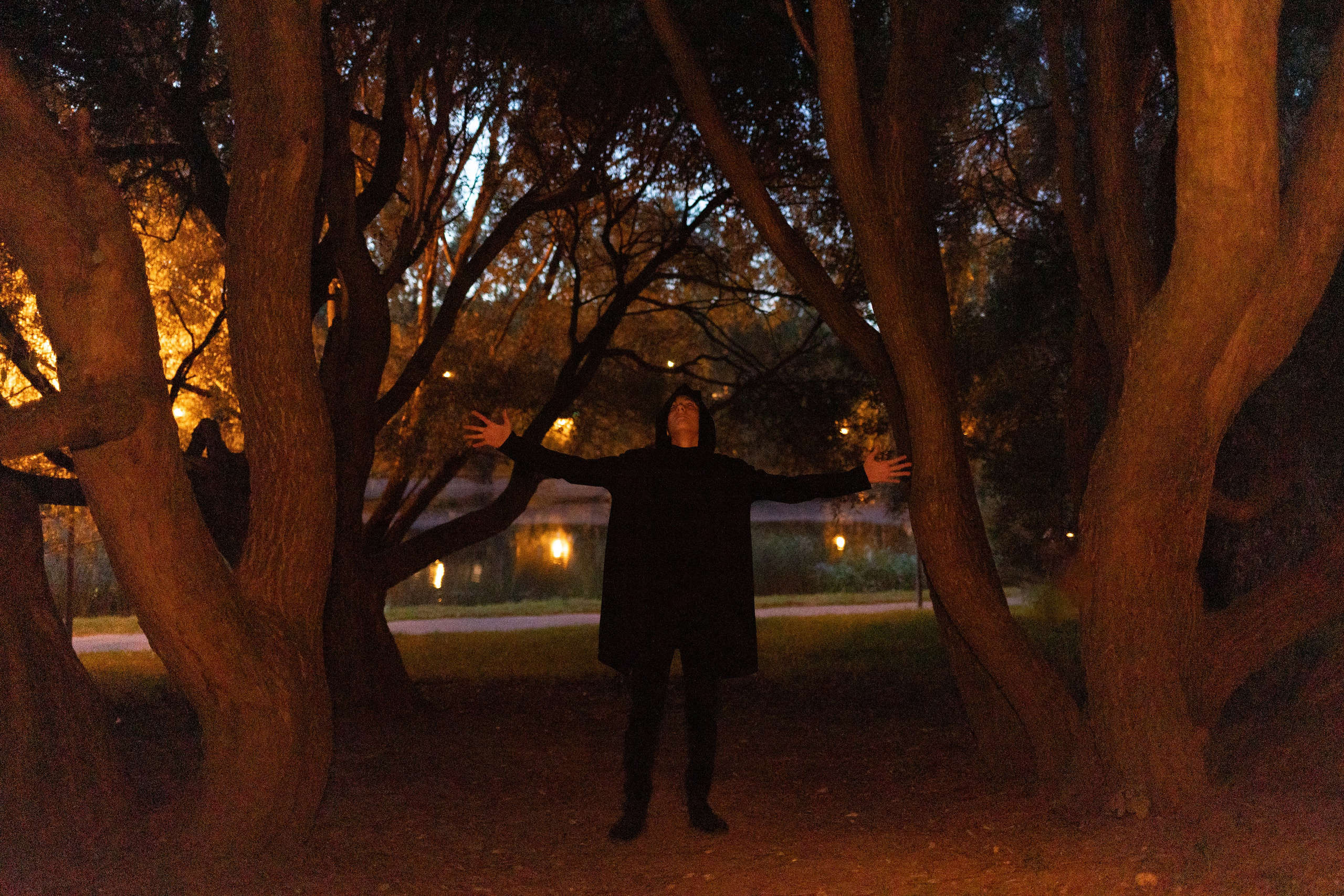 СКАЗОЧНЫЙ ЛЕС. Я фотограф из Москвы к Вашим услугам