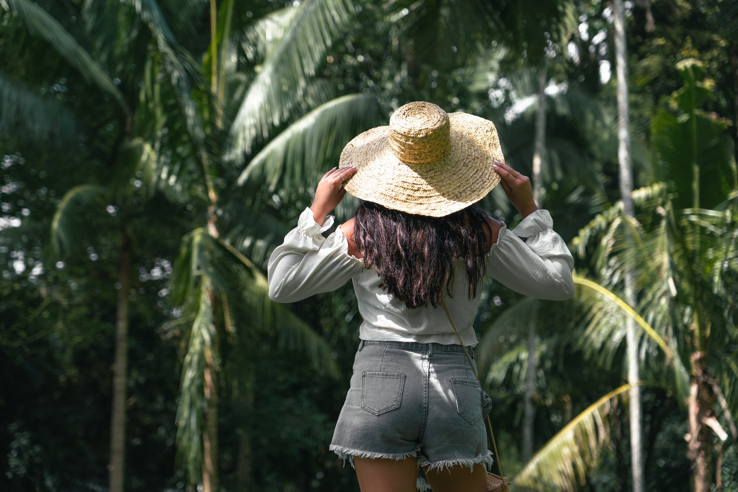 Bathing with elephants in Pinnawala, Botanical Garden