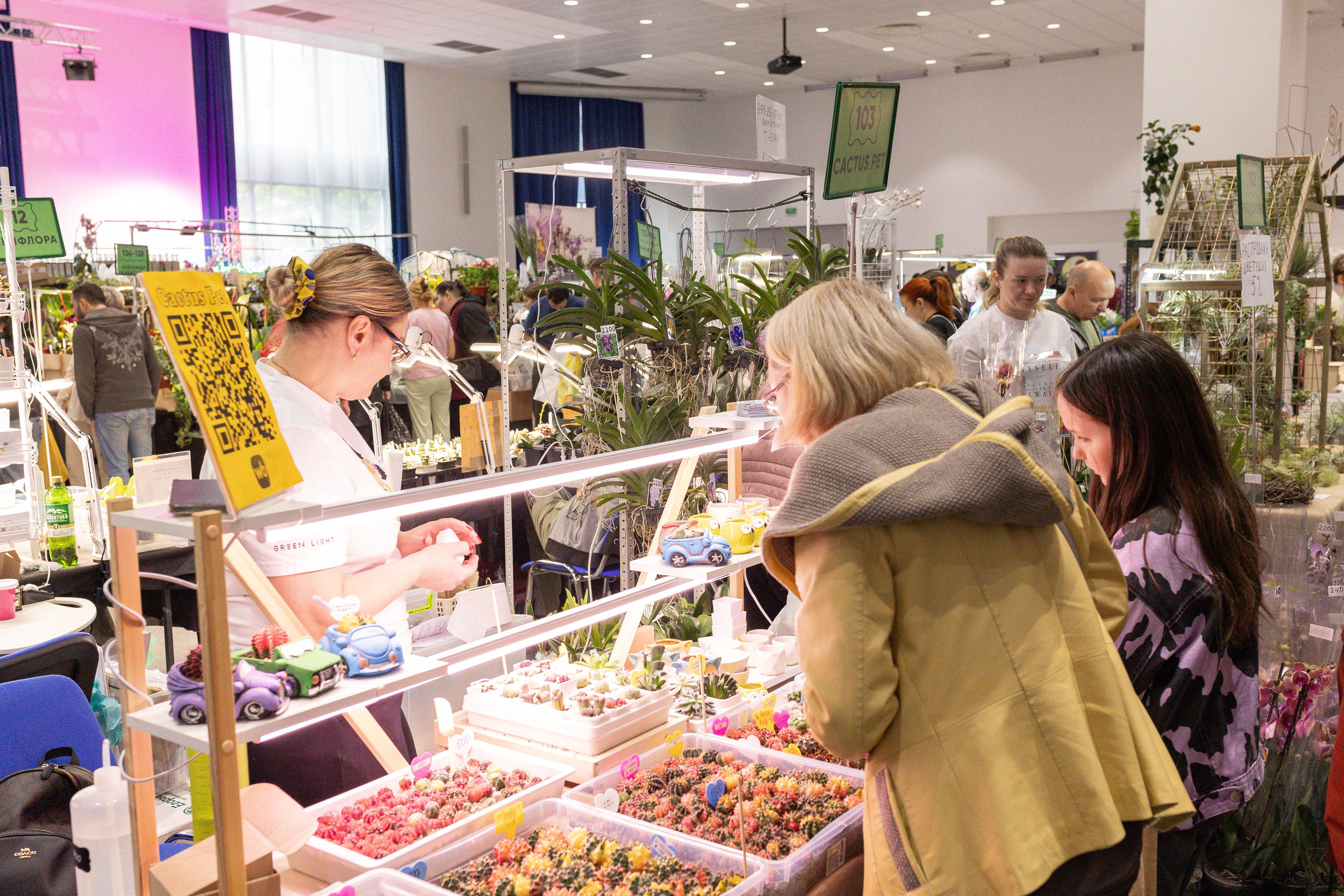 Орхидиум май 2025. Александра Куликова фотограф, Москва