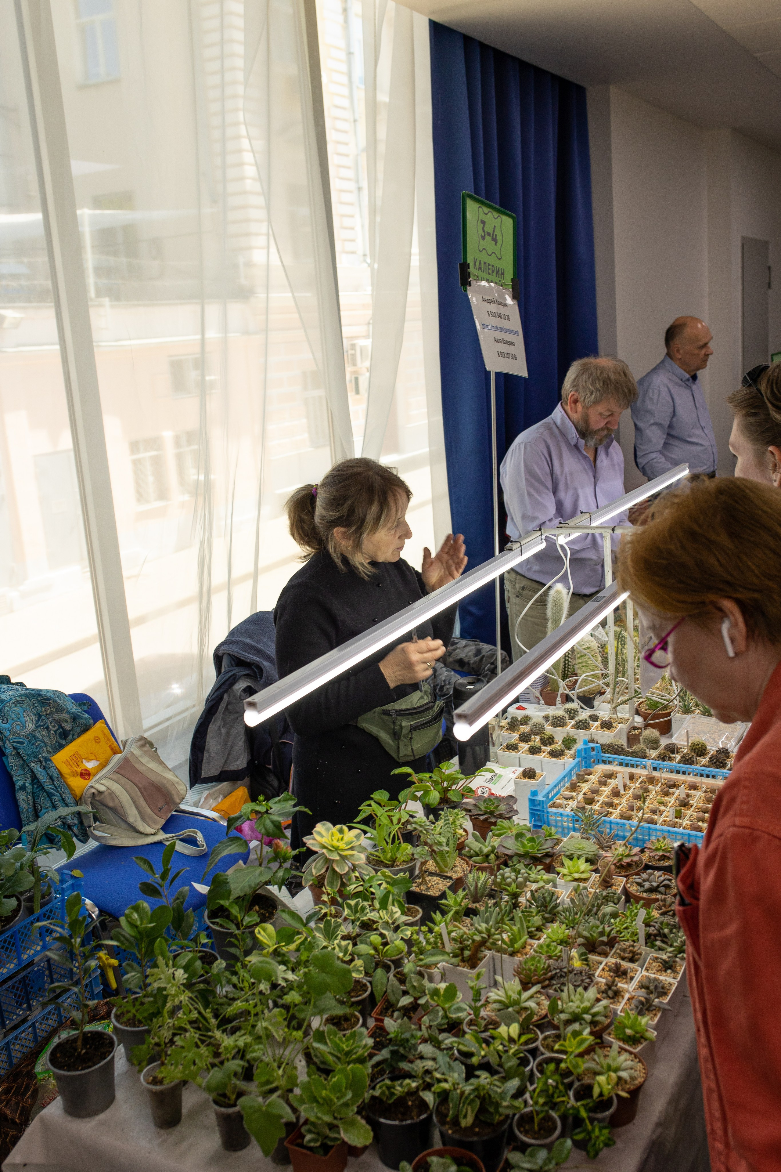 Орхидиум июнь 2024. Александра Куликова фотограф, Москва