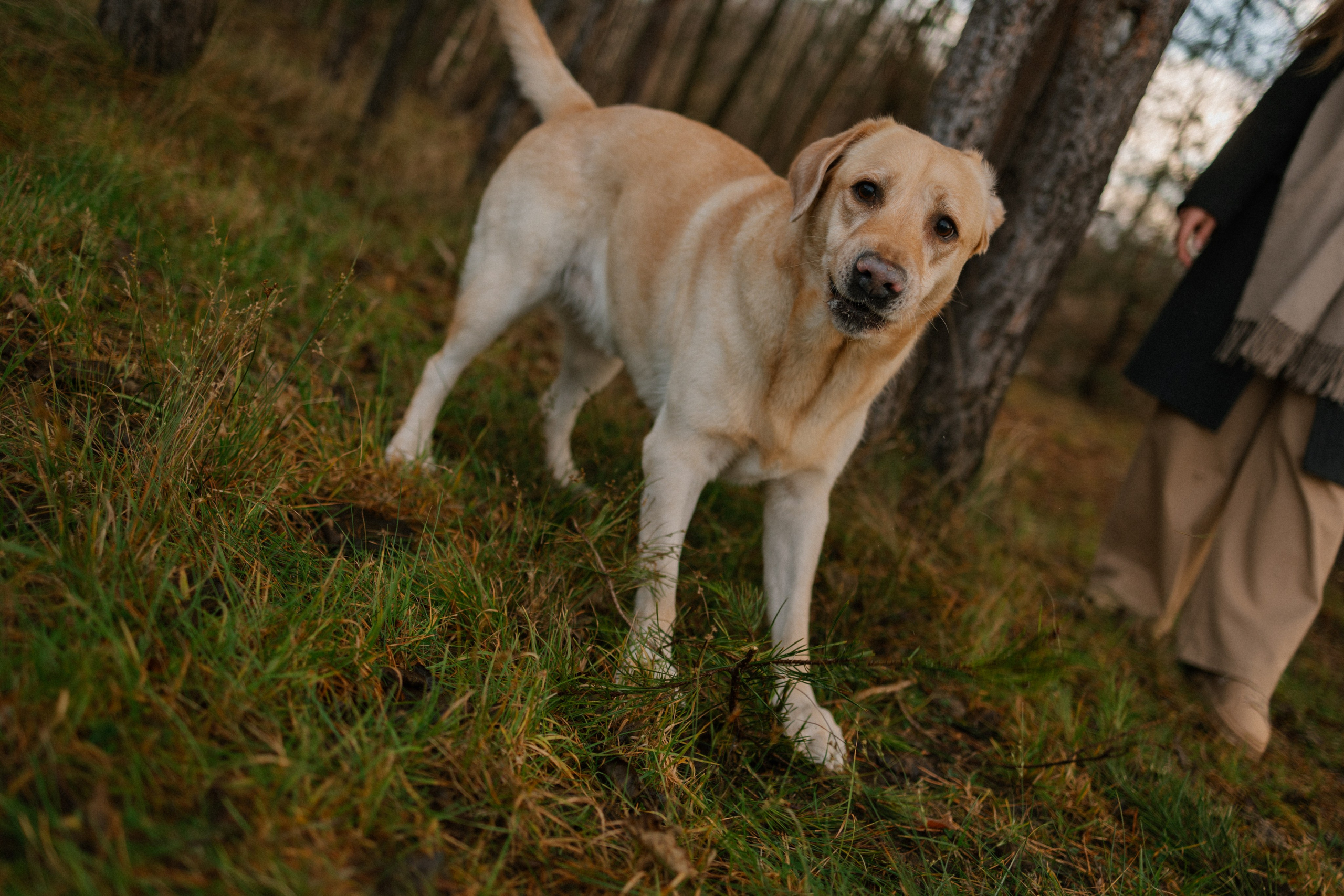 Ирина и Бася. Фотограф — Анималист | Санкт-Петербург