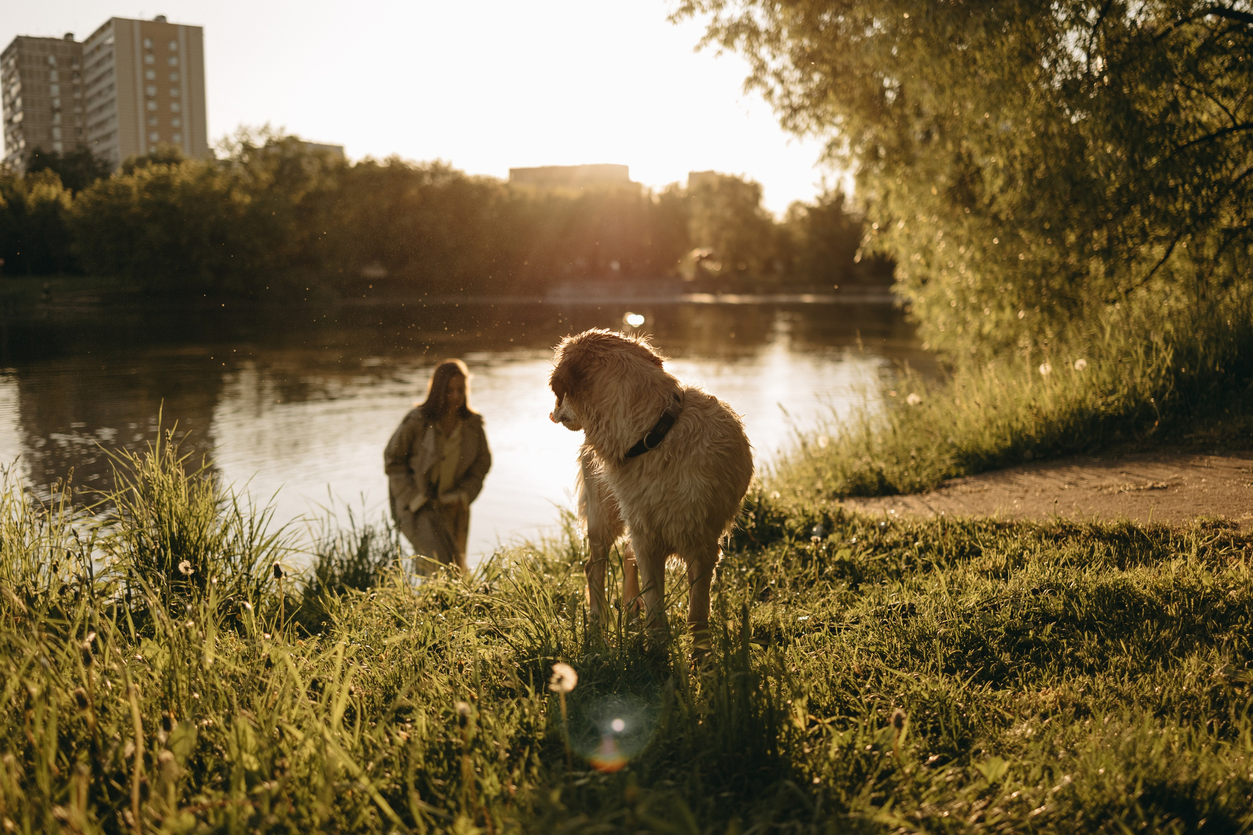 Пенни и ребята. Фотограф — Анималист | Санкт-Петербург
