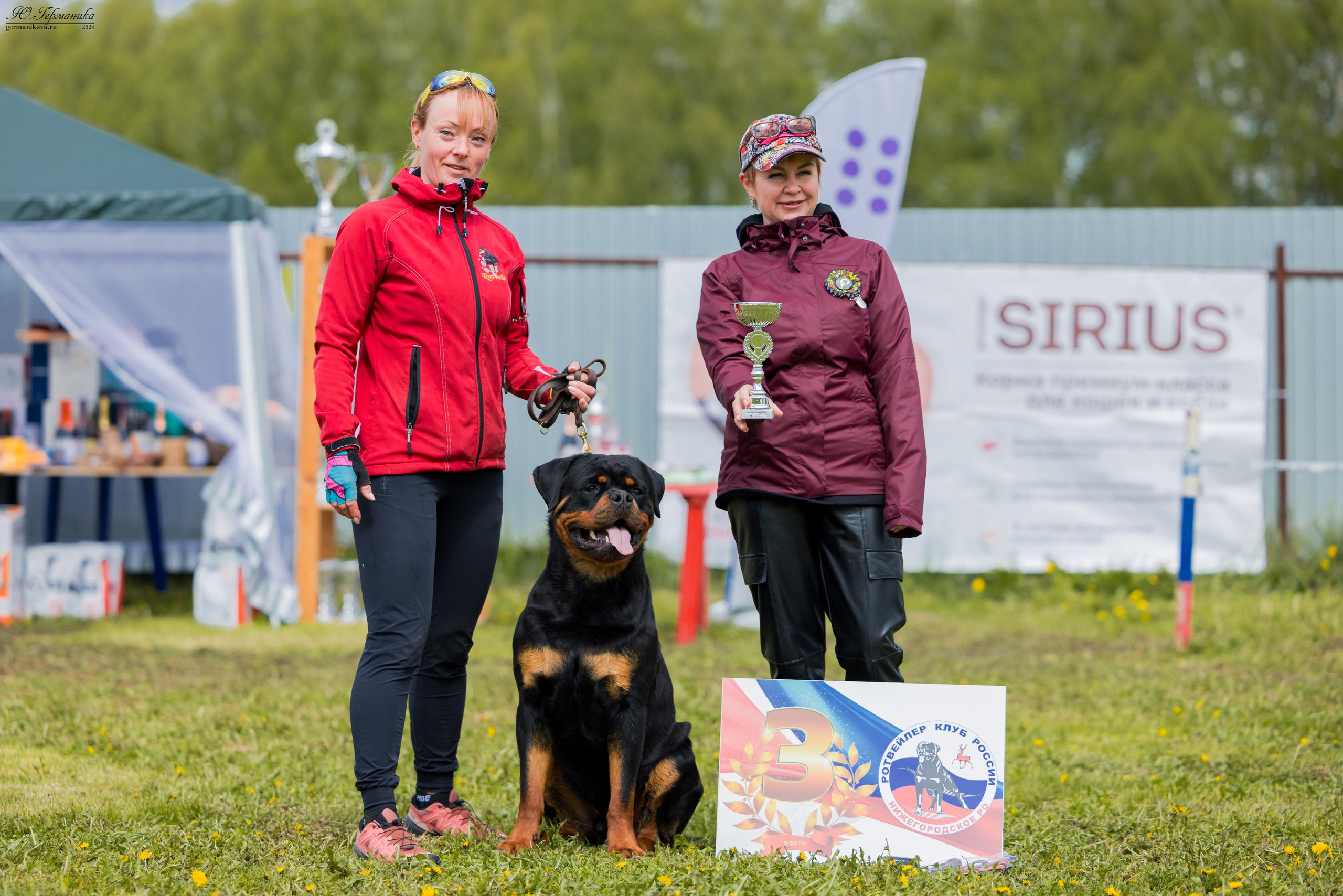 Нижний Новгород 11-12.05.2024 моно ротвейлеров. Фотограф-анималист Юлия Германика
