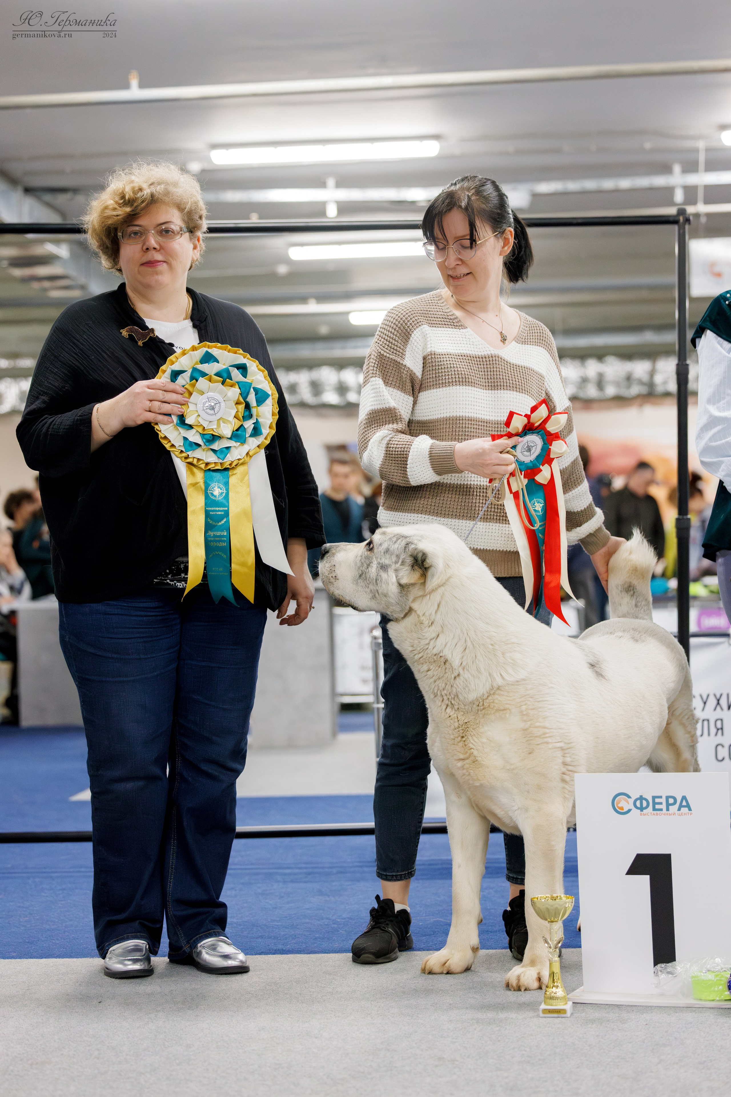 Сфера и Крокус 8,9,16 и 30.03.2025. Фотограф-анималист Юлия Германика