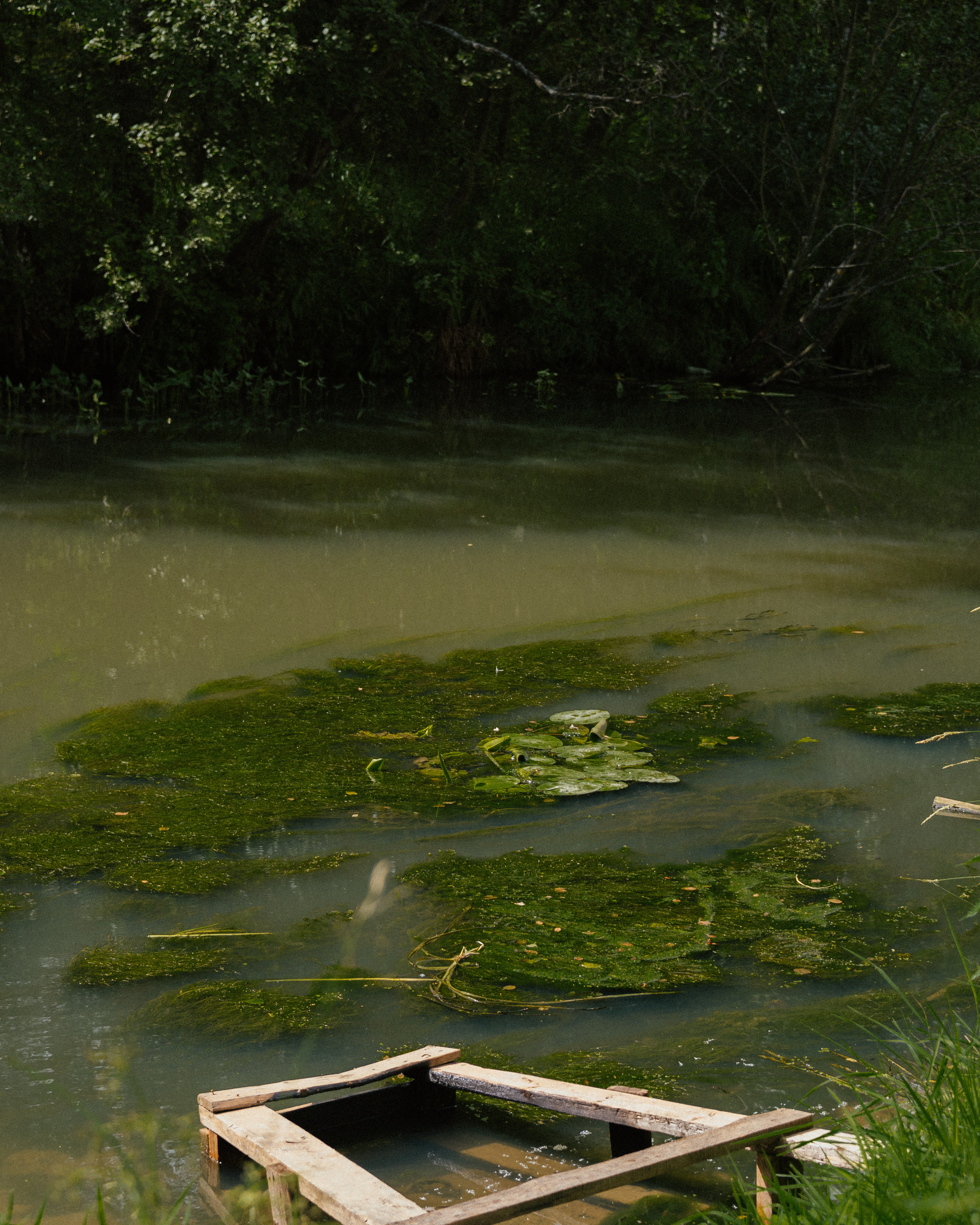 Арина. Фотограф Валерия