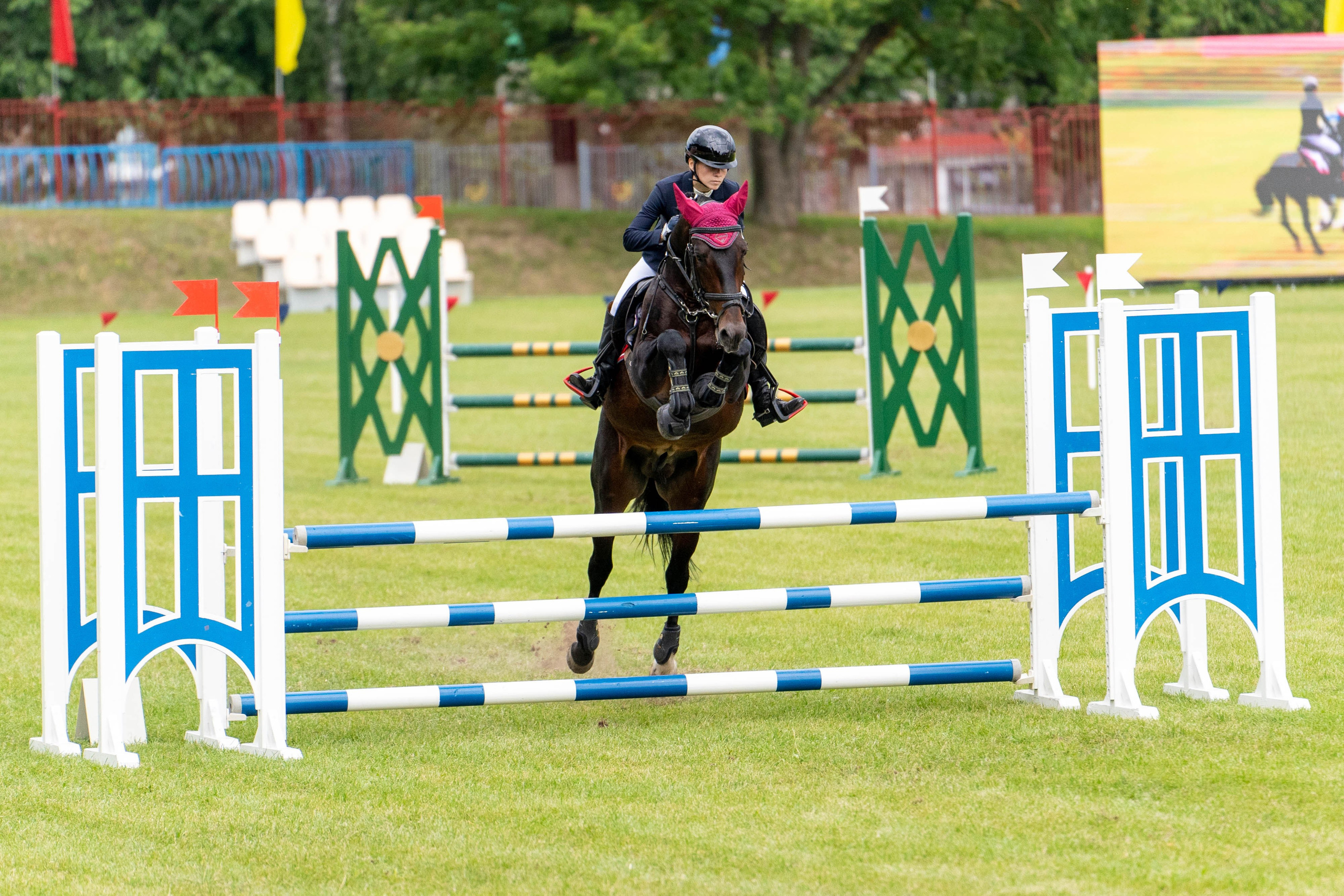 Соревнования. Фотограф Дарья Соколовская
