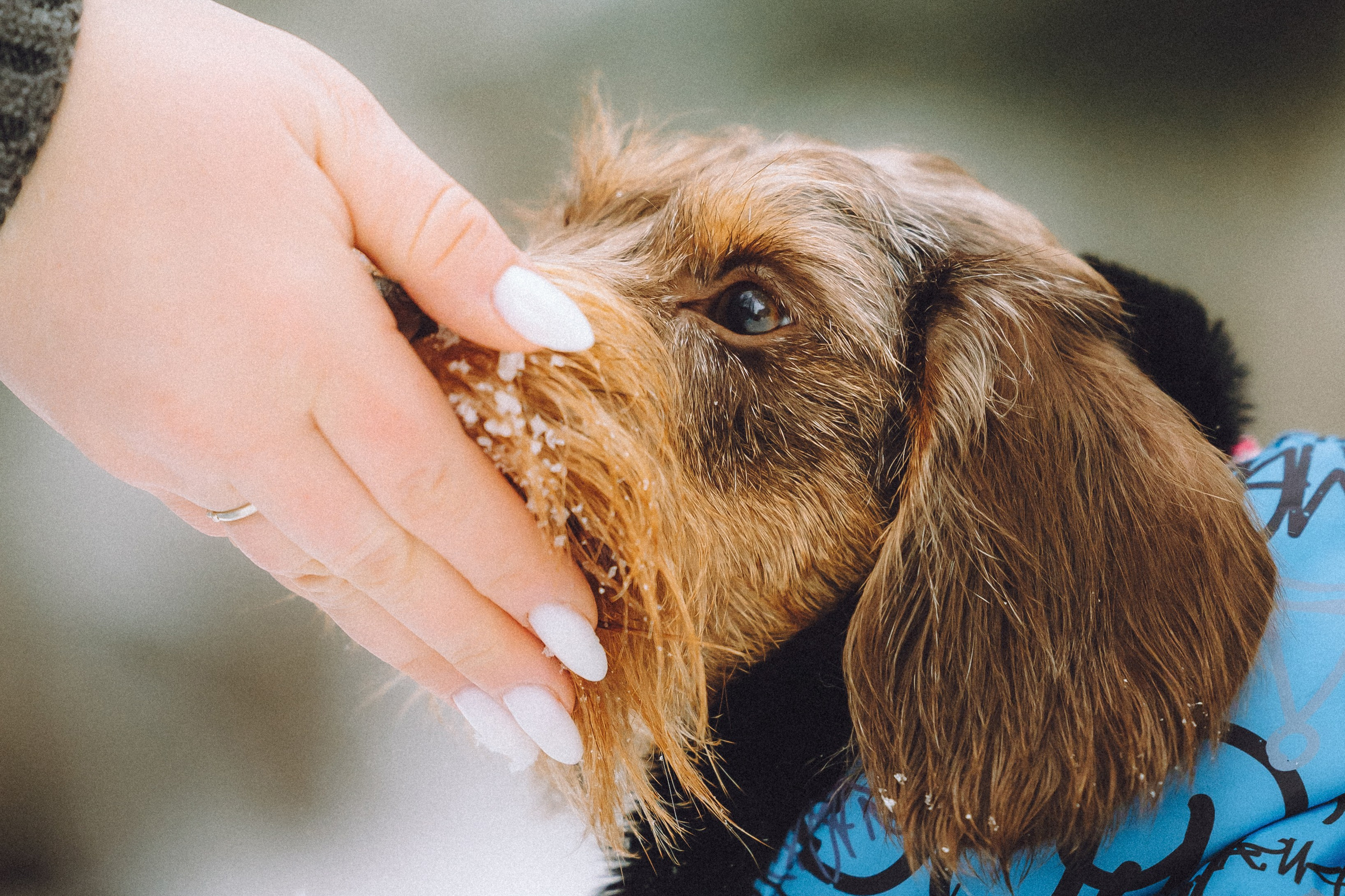 Каспер и его семья