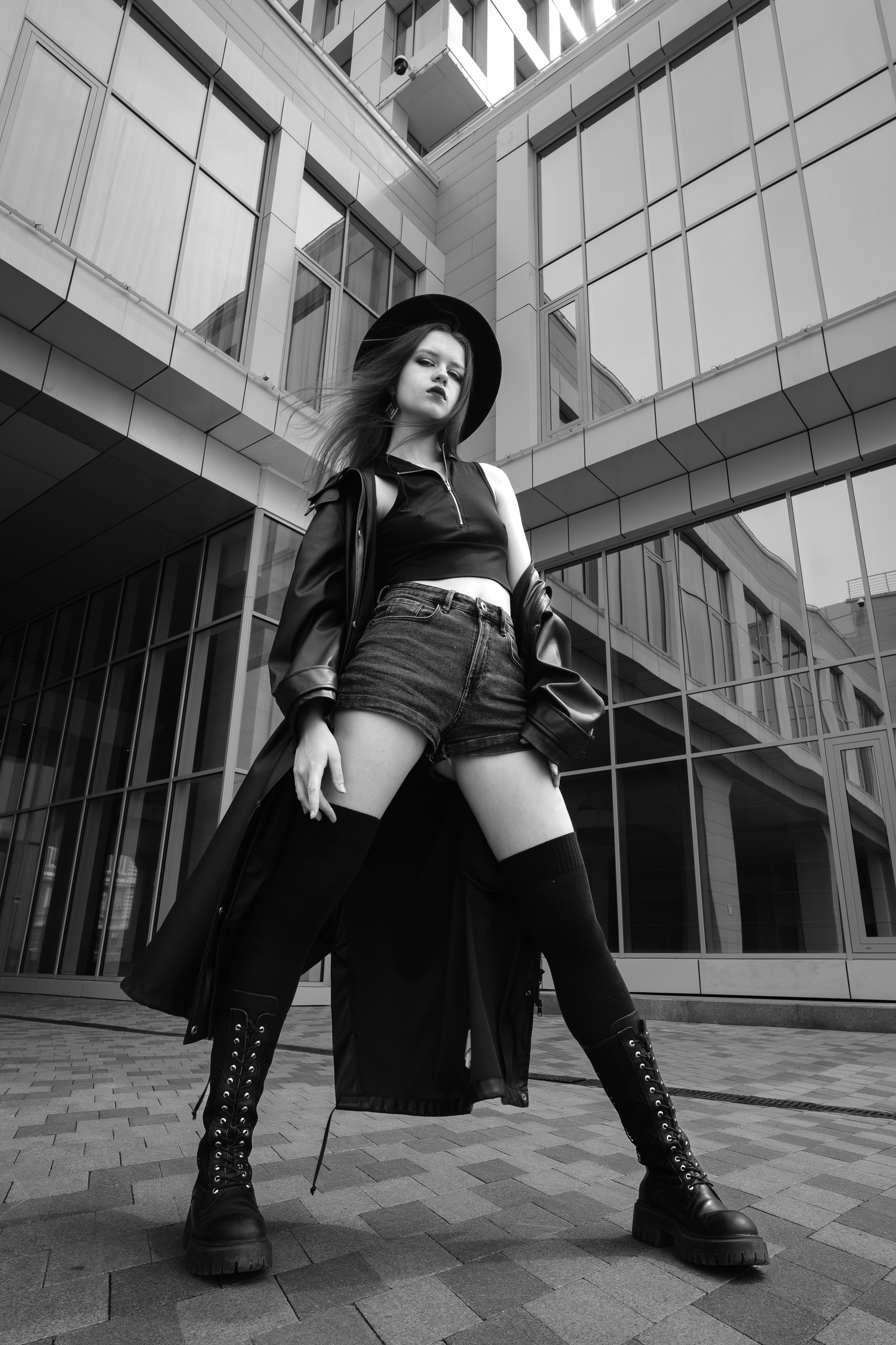 The grotesque. Aleksandr Schafft