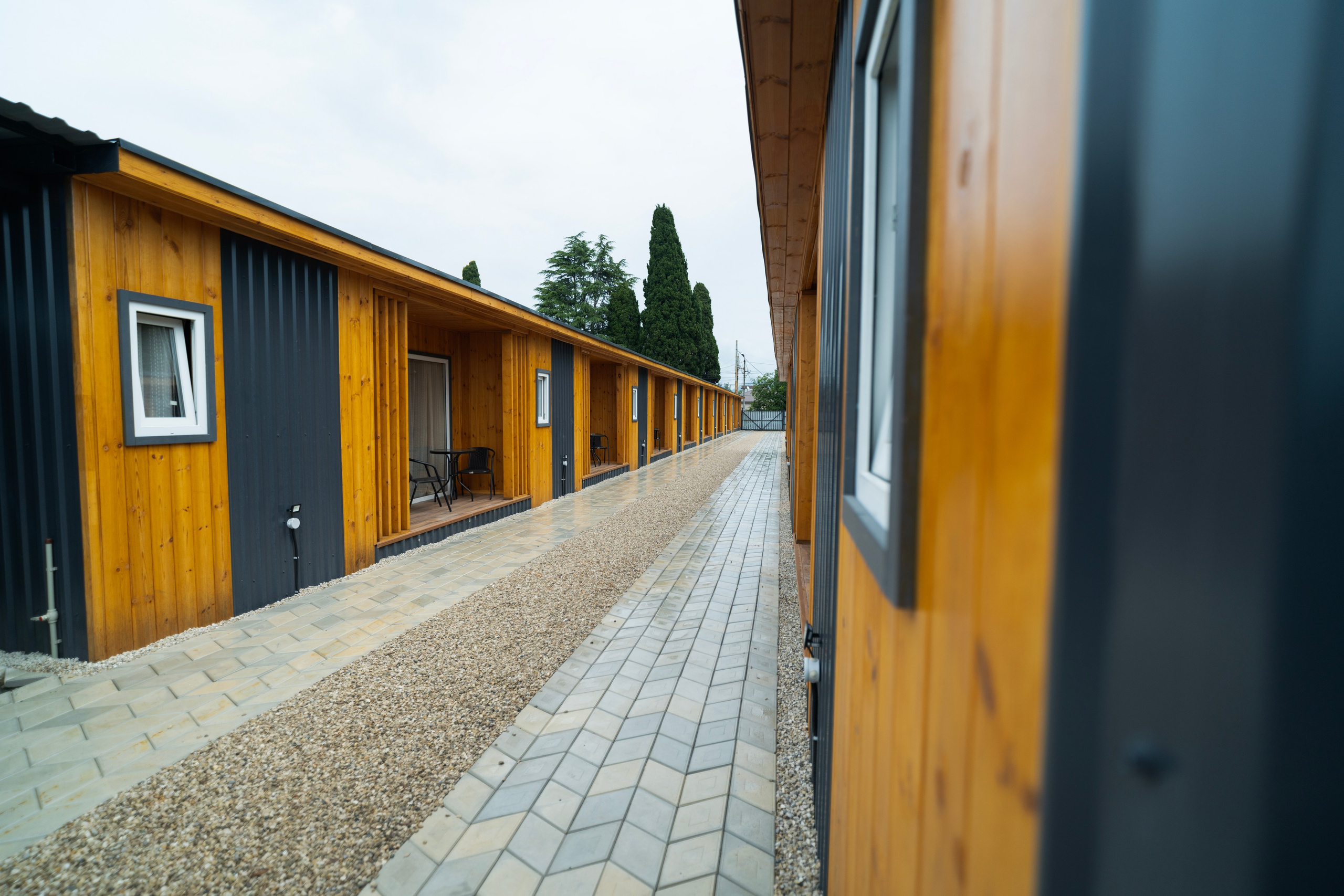 Дионис. Главная