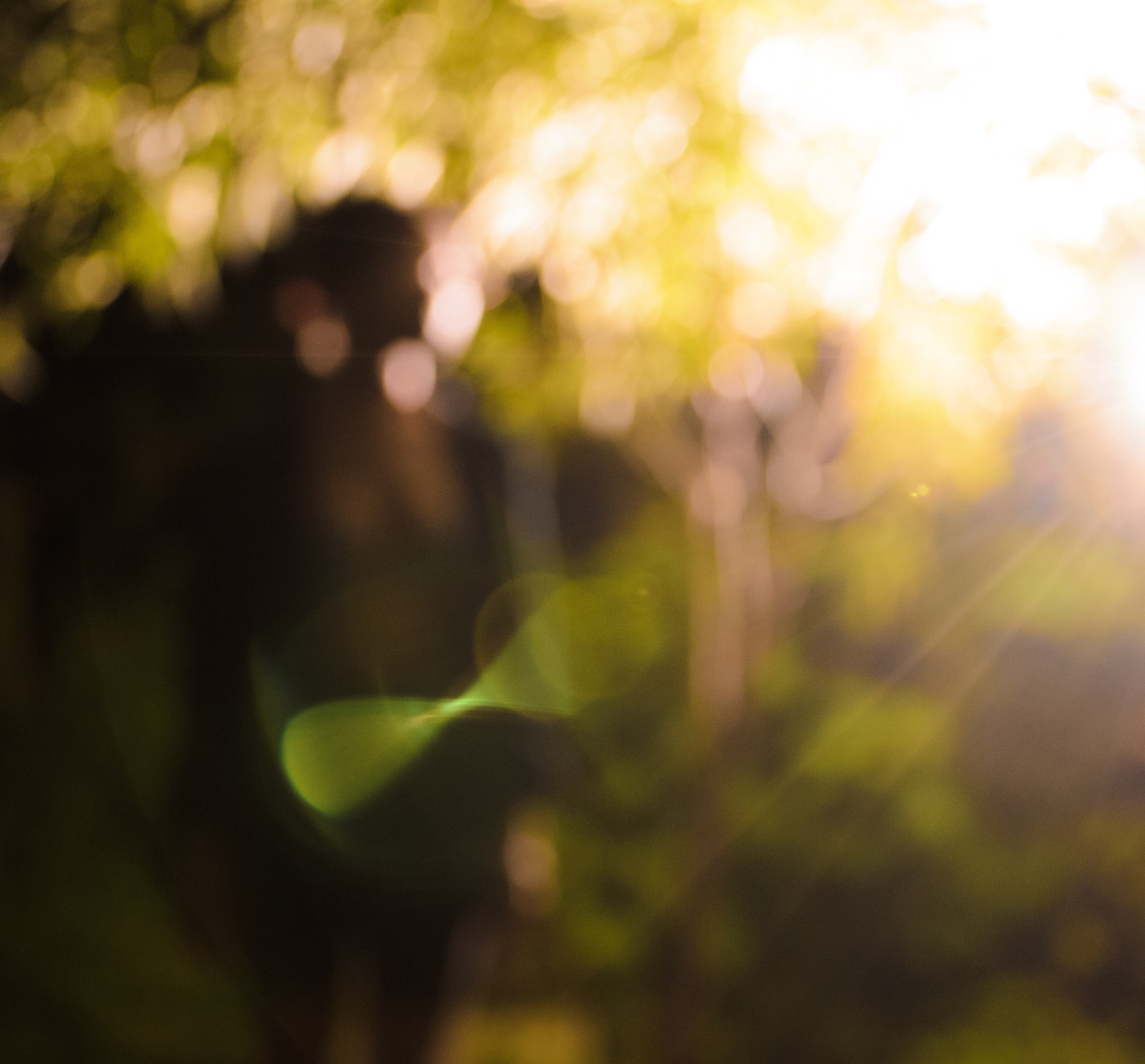 арт, портрет, фотосессия. фотограф, фотография, портретная съемка, женщина, венера, руки, art, photo, photographer, photography, women, хабаровск, украшения, художник. jewerly 