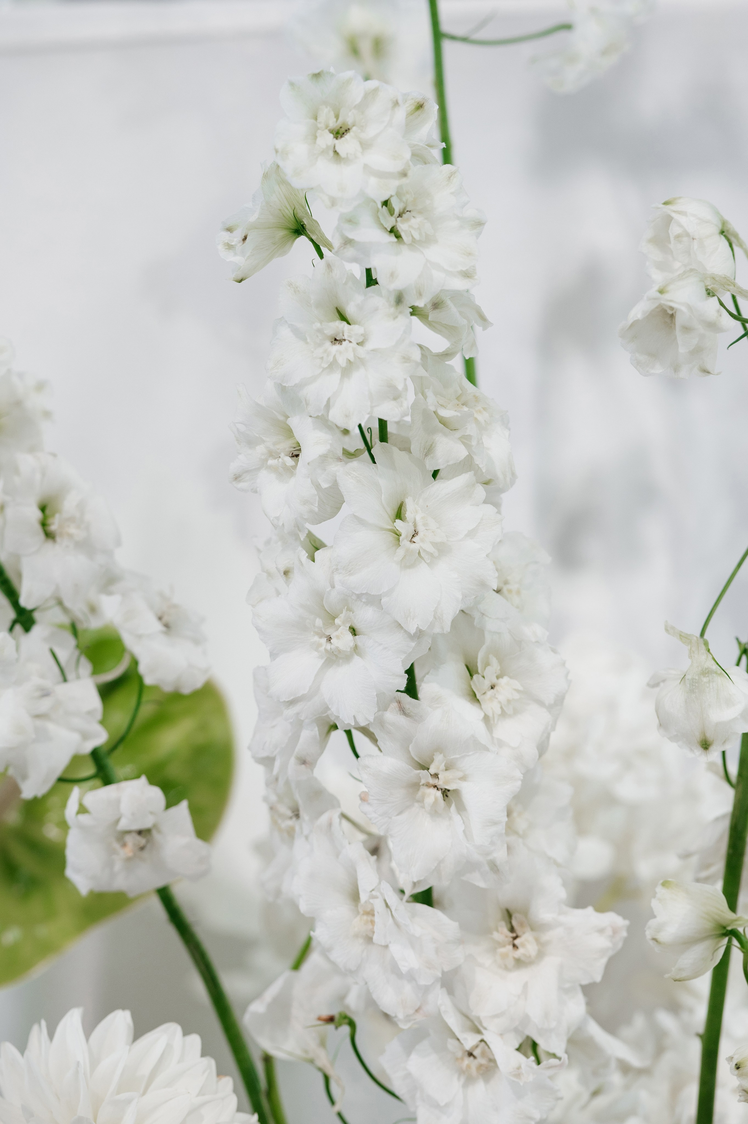 Wedding G&E. Свадебный фотограф в Москве и по всему Миру Андрей Медведников