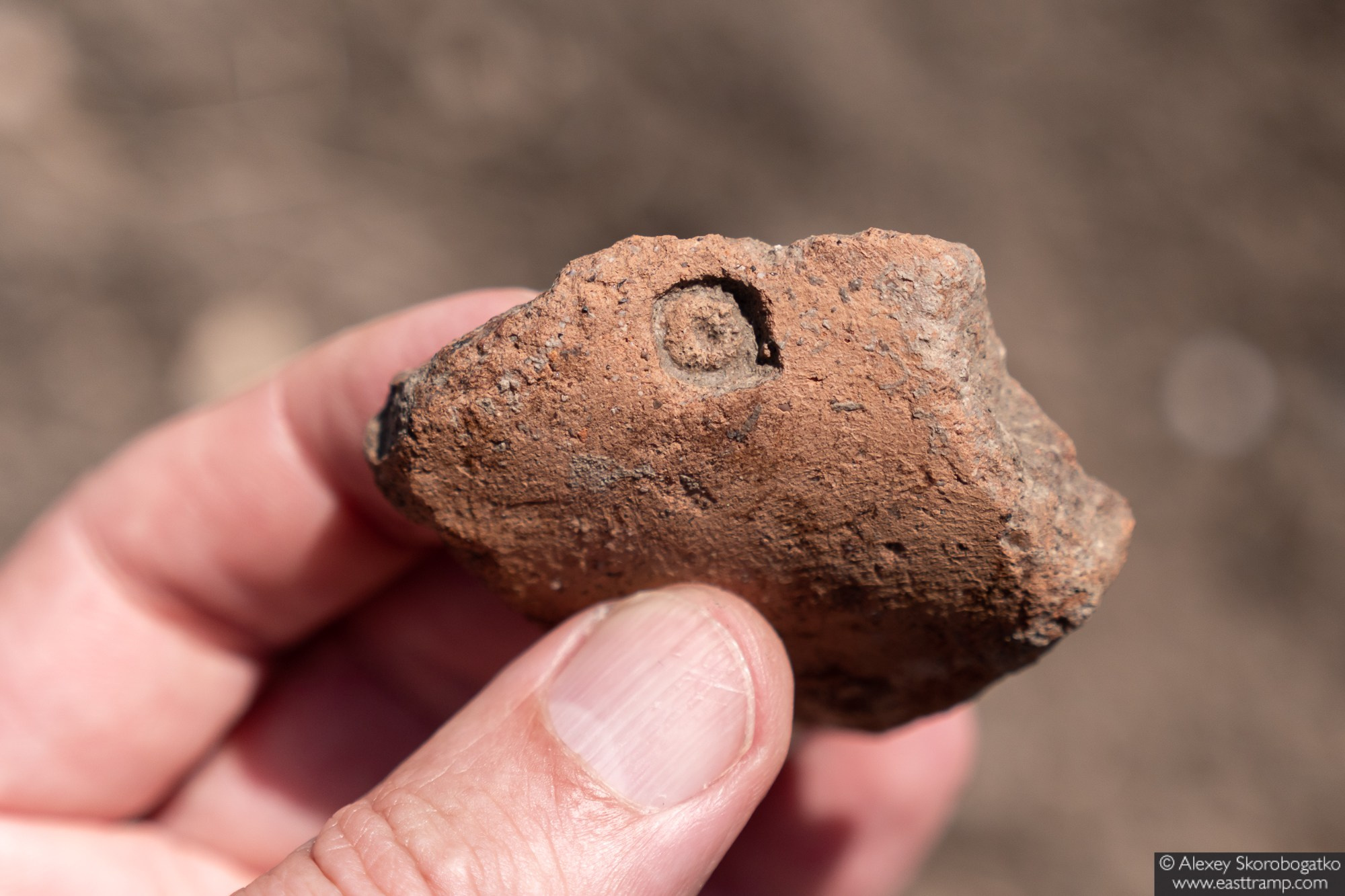 Археологические раскопки некрополя Кыз-Аул в Крыму. Фотограф Алексей Скоробогатько