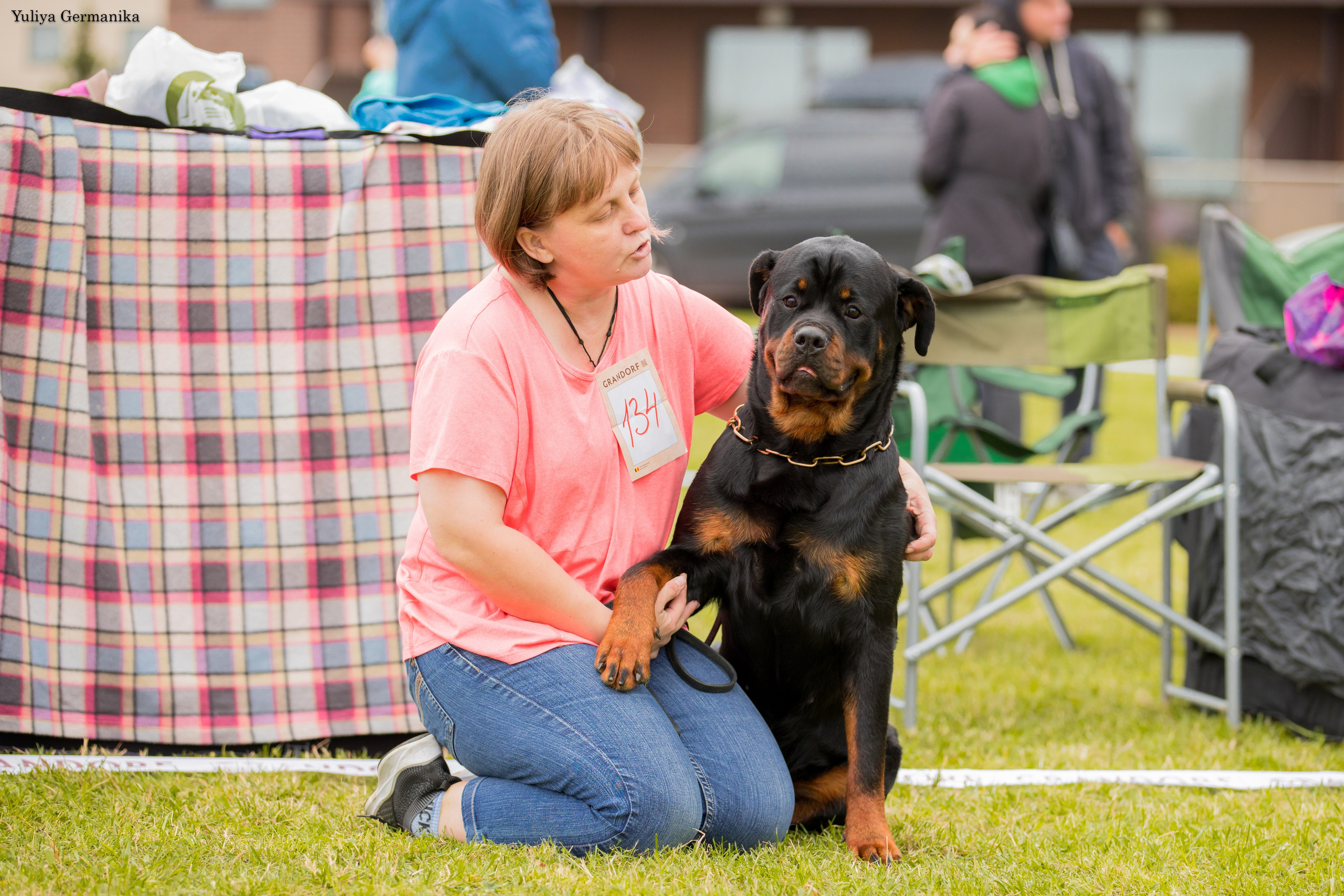Переславль 9-10.09.2023. Фотограф-анималист Юлия Германика