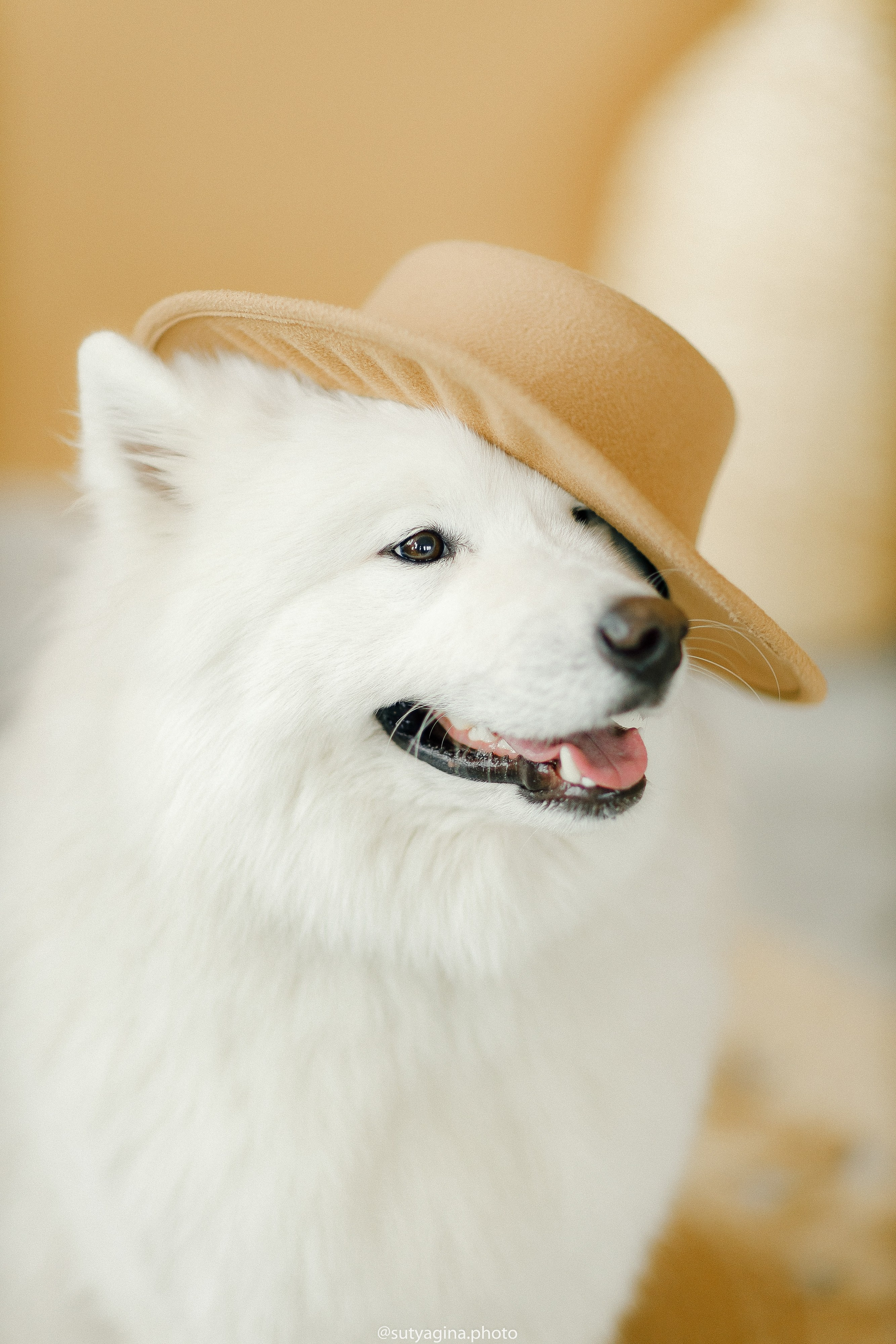 Самоед Мартин. Свадебный и женский фотограф