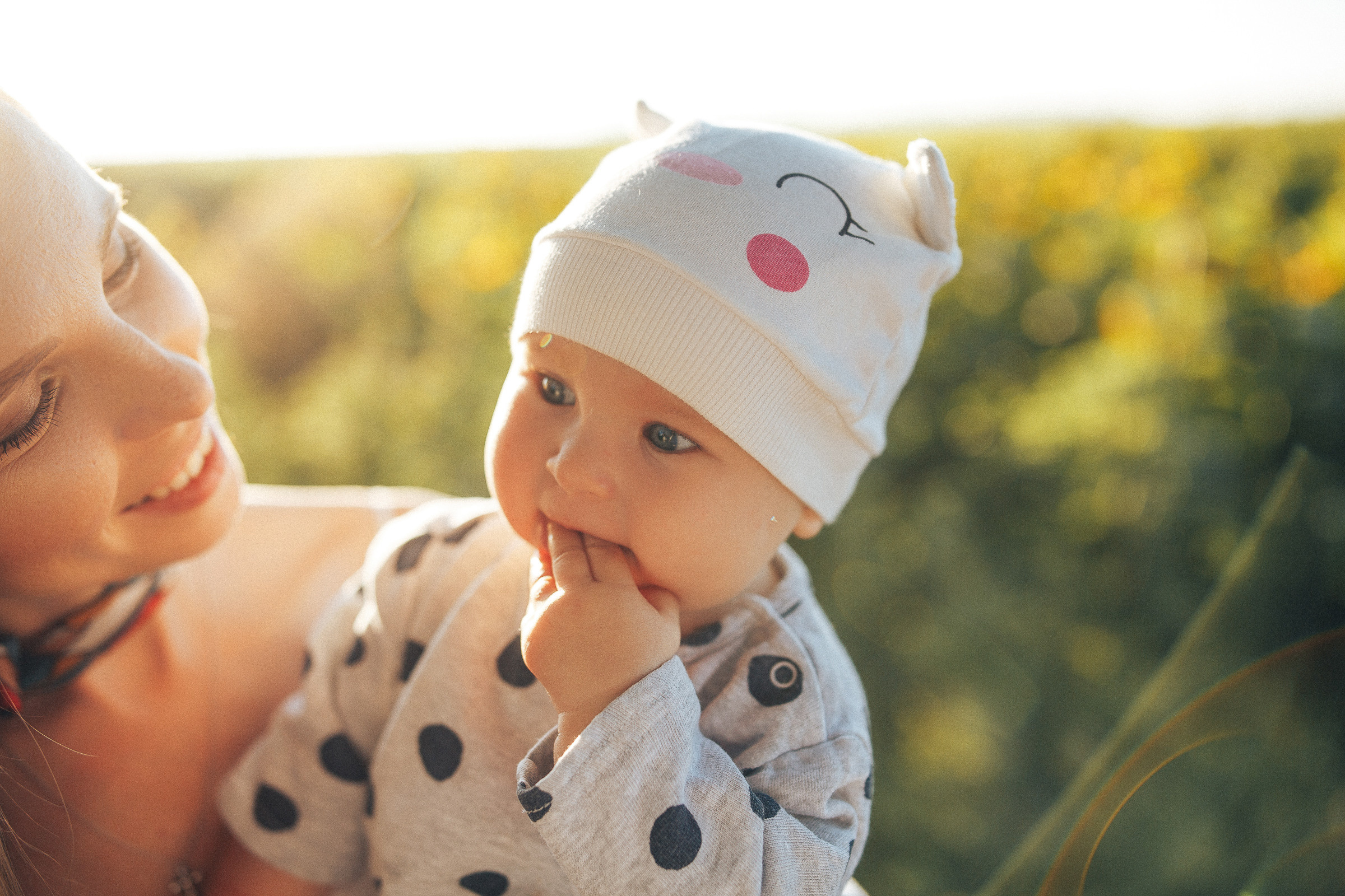 Рассвет в подсолнухах