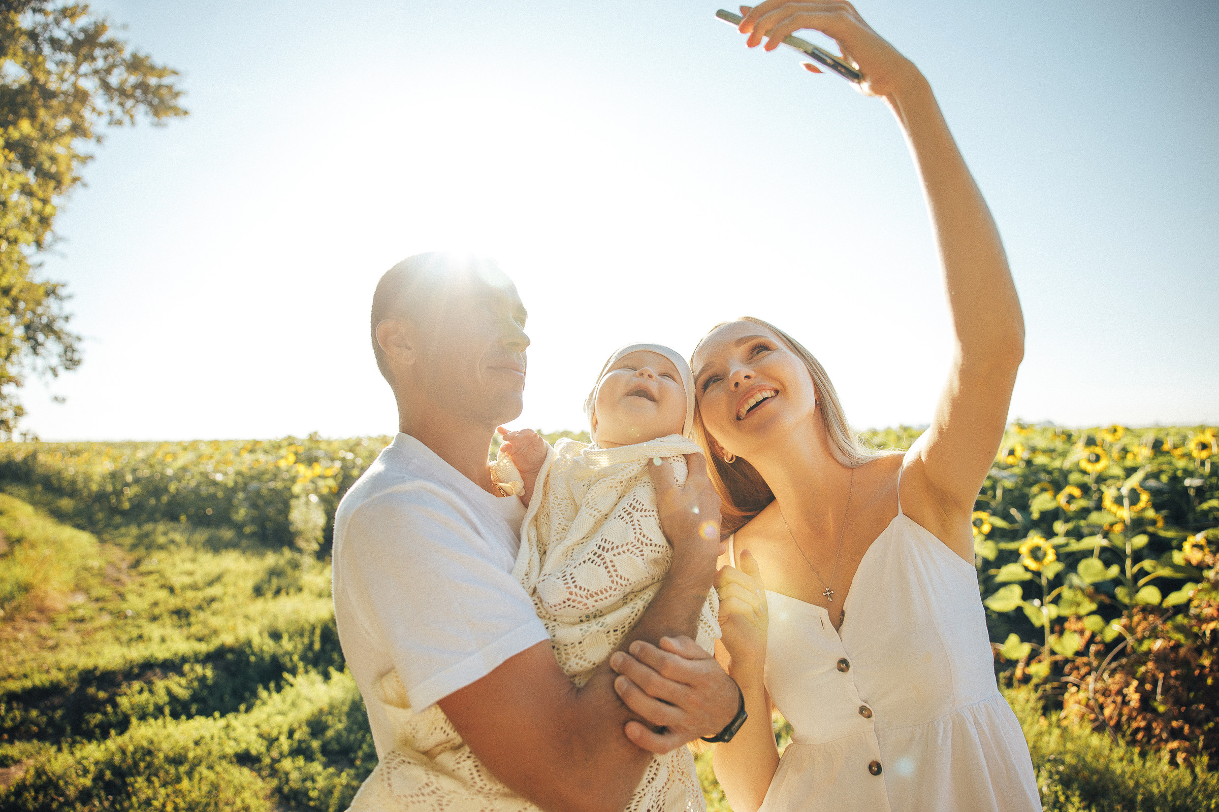 Рассвет в подсолнухах