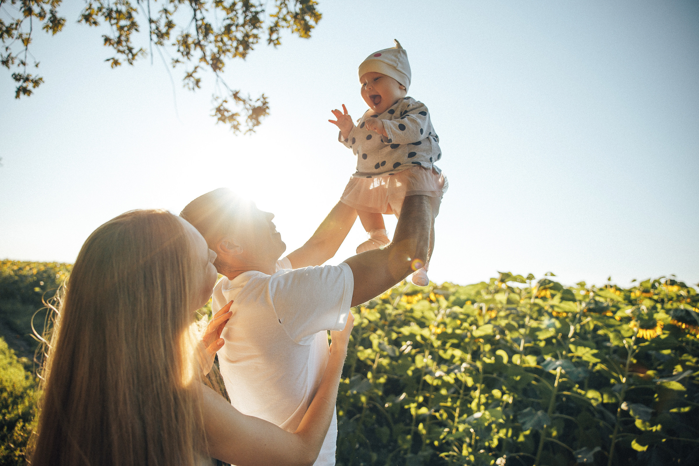 Рассвет в подсолнухах
