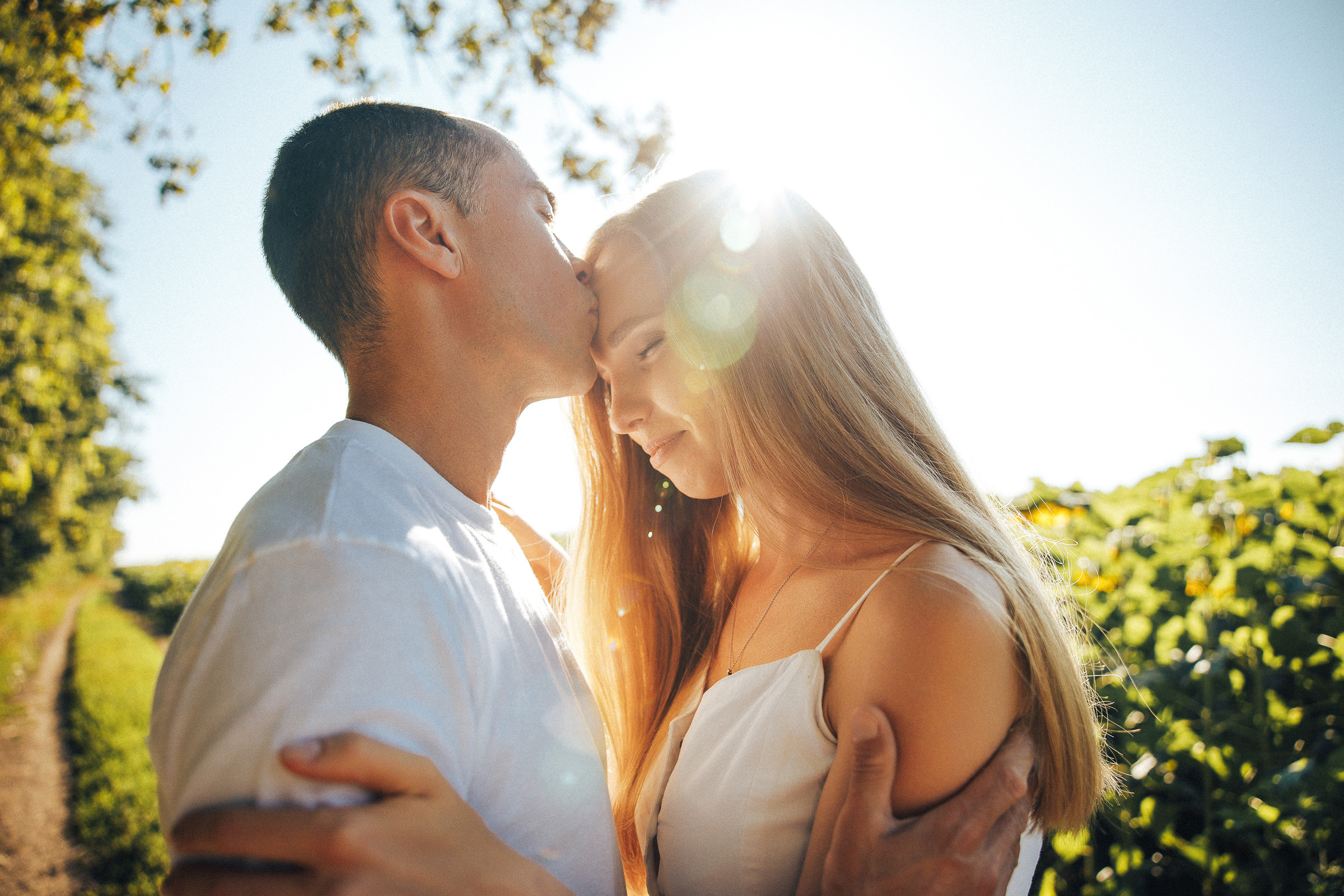 Рассвет в подсолнухах