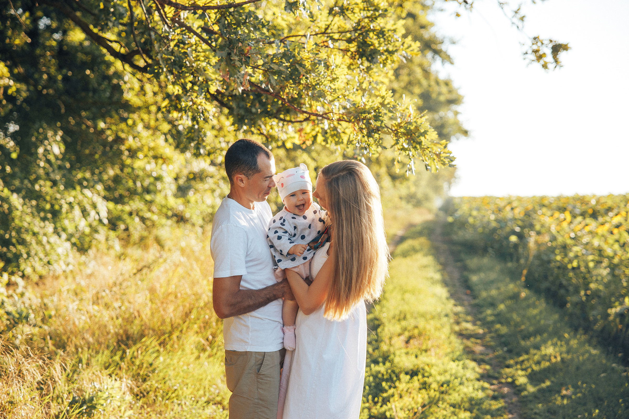 Рассвет в подсолнухах