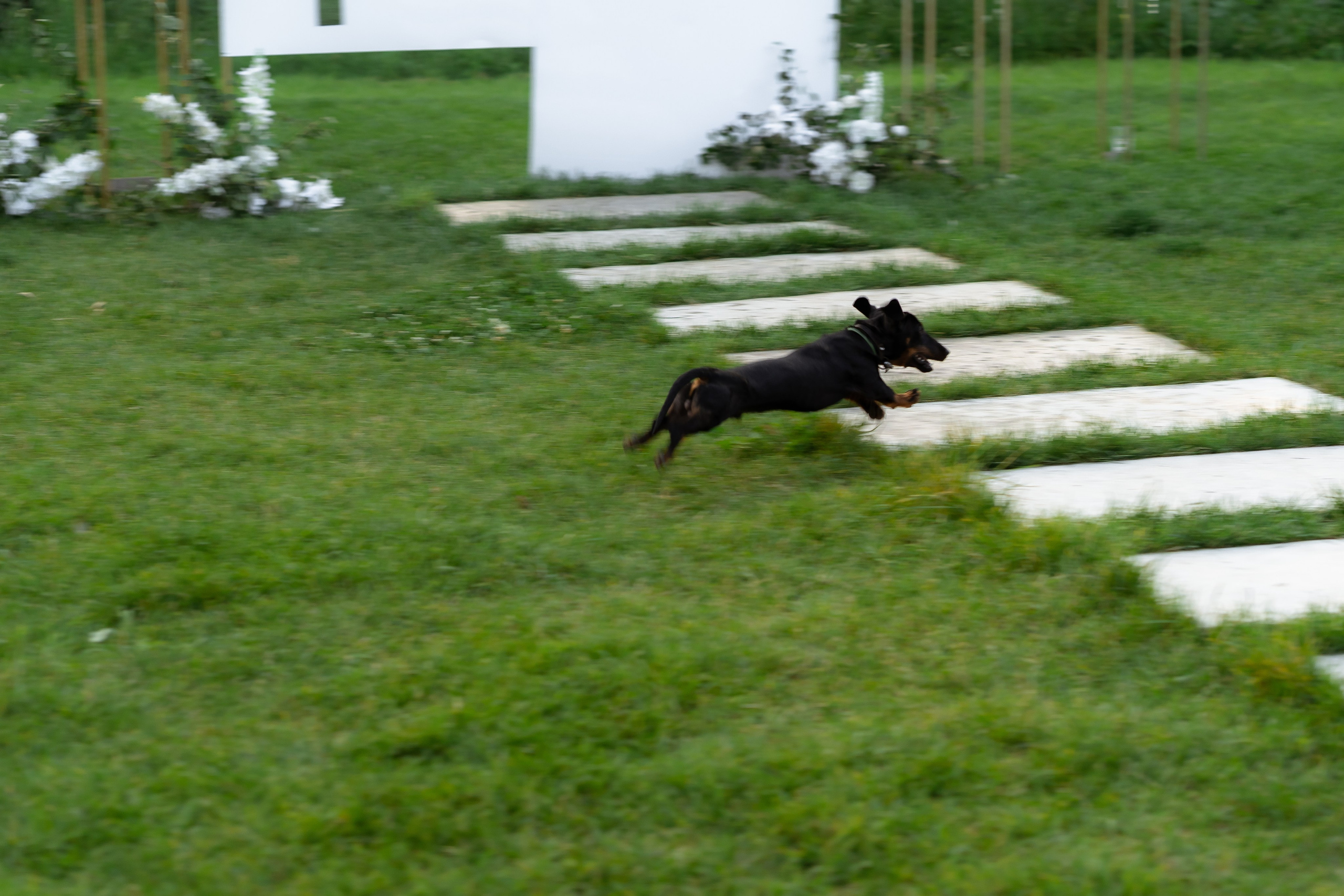 Олег & Юля. Свадебный фотограф в Воронеже Дарья Володарская