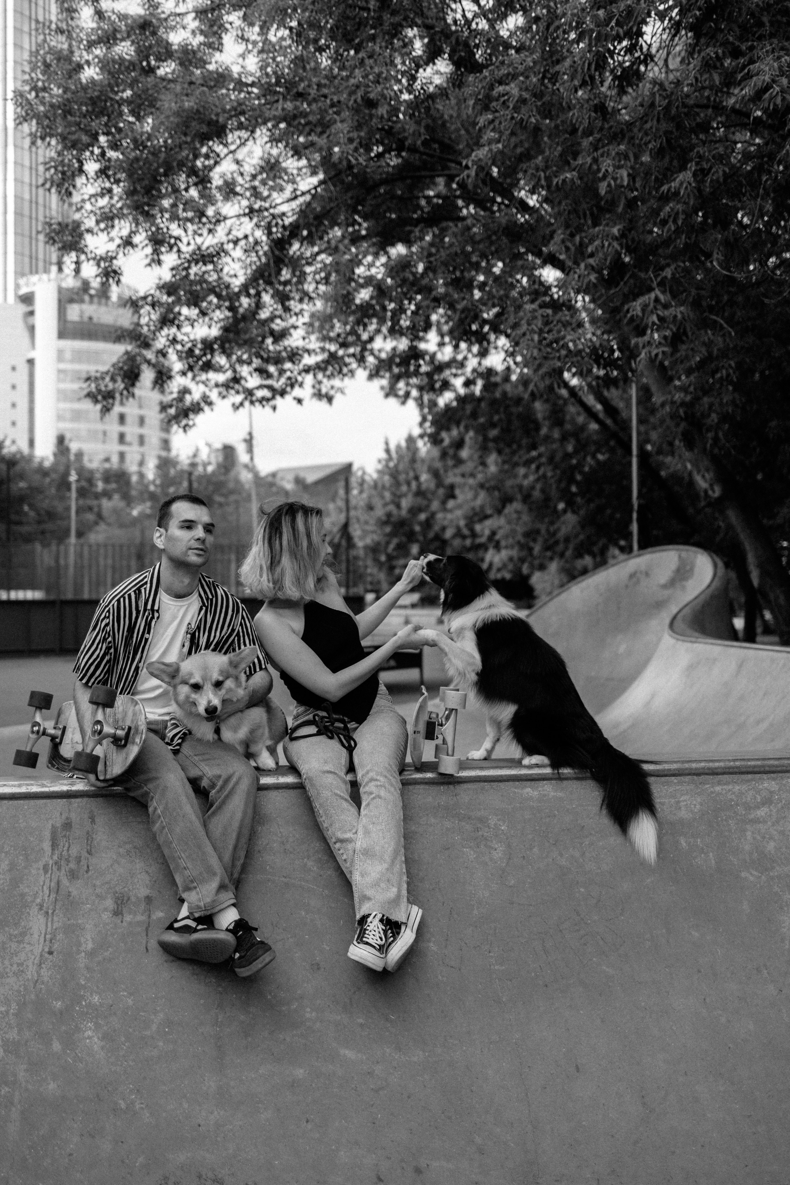 Брюс, Вейв и их ро. Фотораф — анималист Мария Шистка