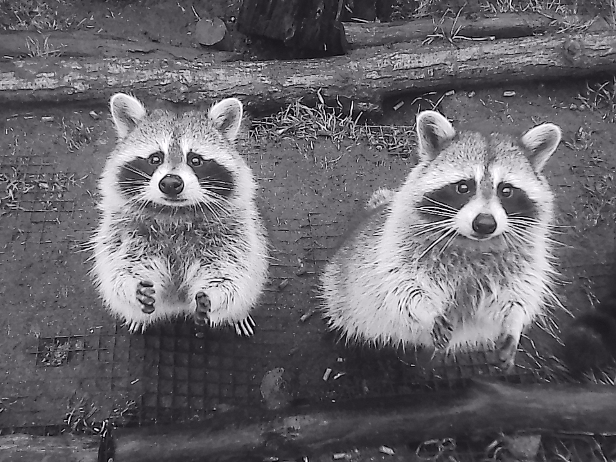 «Крошка 🐣». Anita_photo