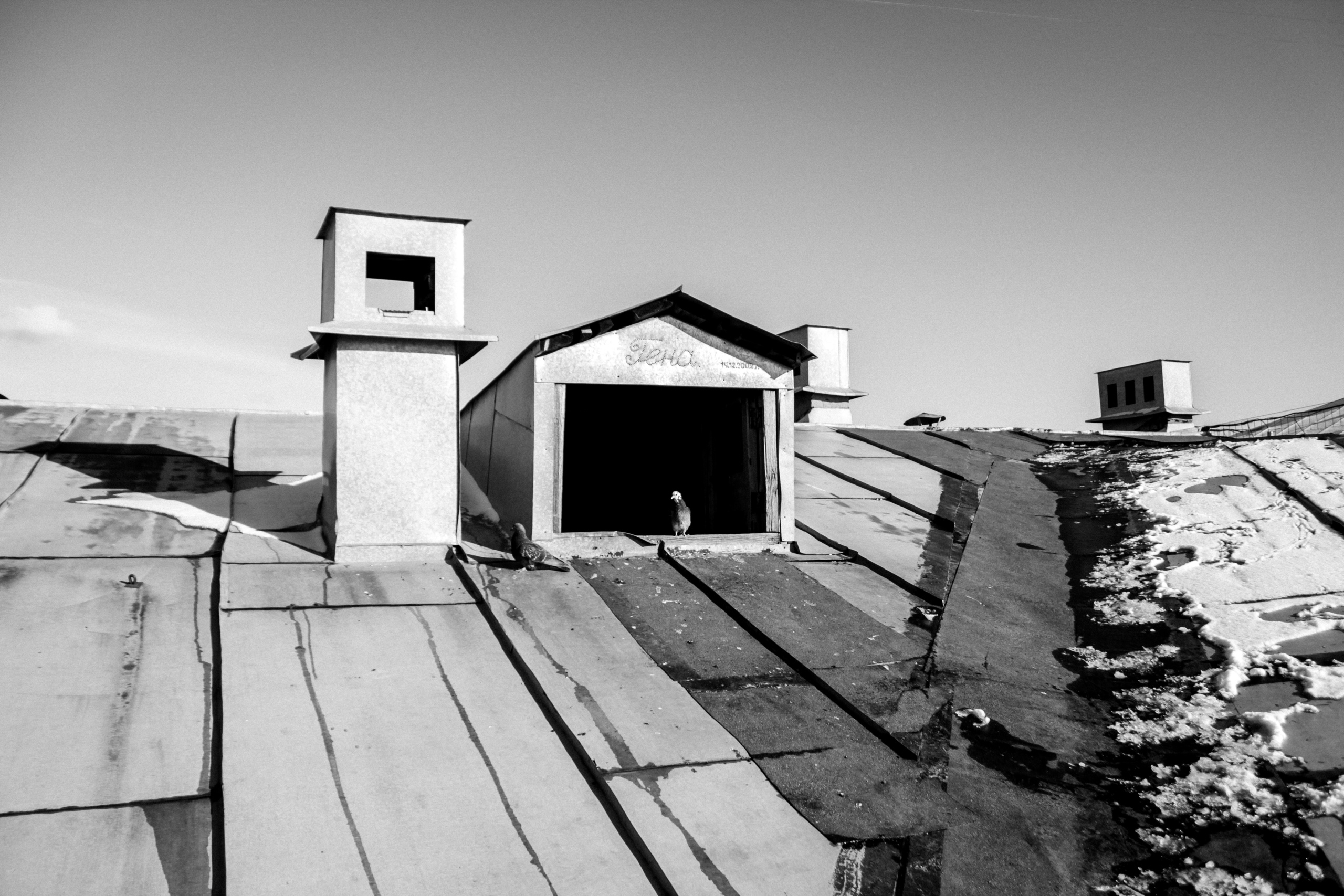 Свадебная вечеринка. Фотограф в Грузии ОАЭ | Nekit Fox