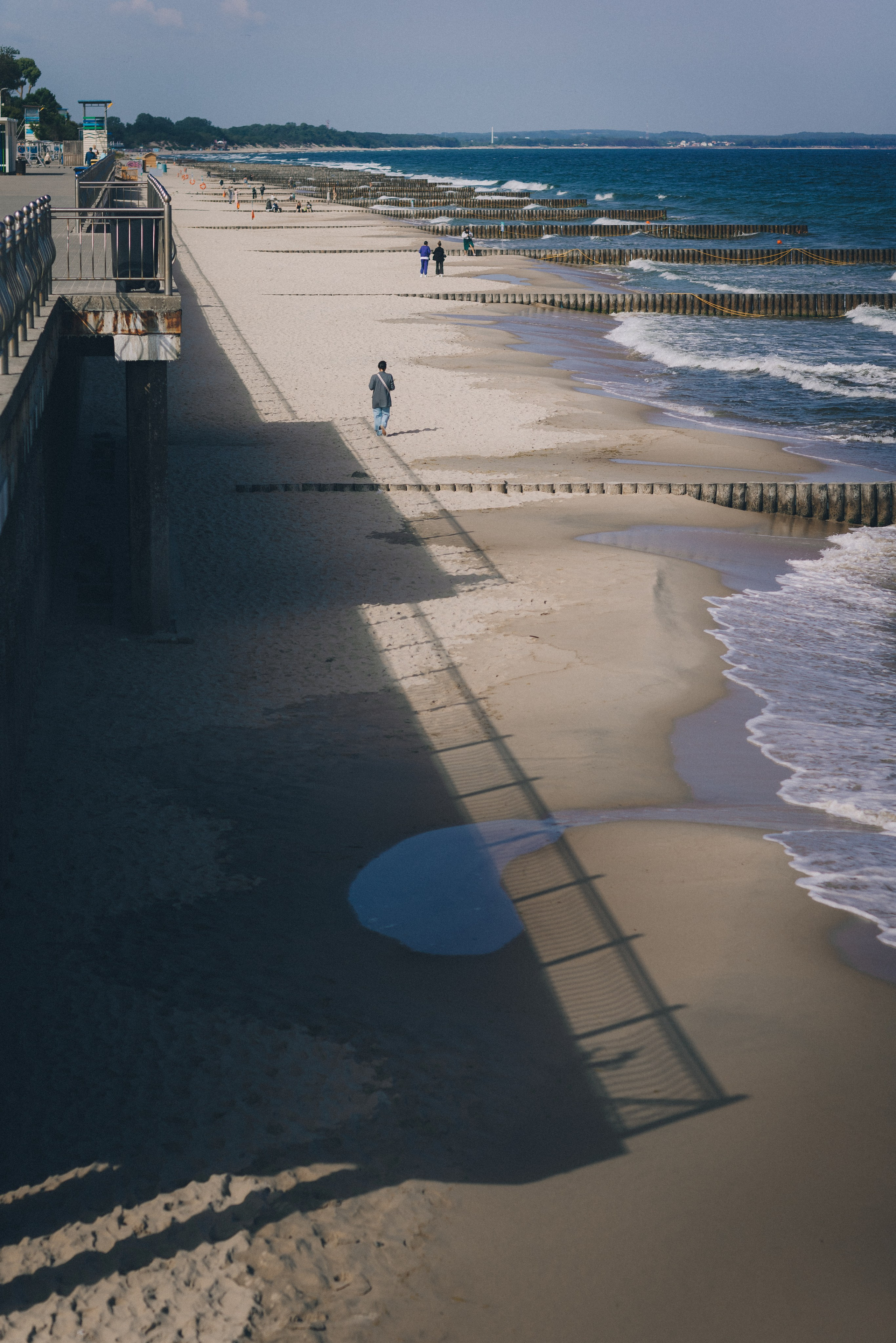 Море + ветер + чайки = Балтика. Фотограф Зеленоградск Красильникова Елена