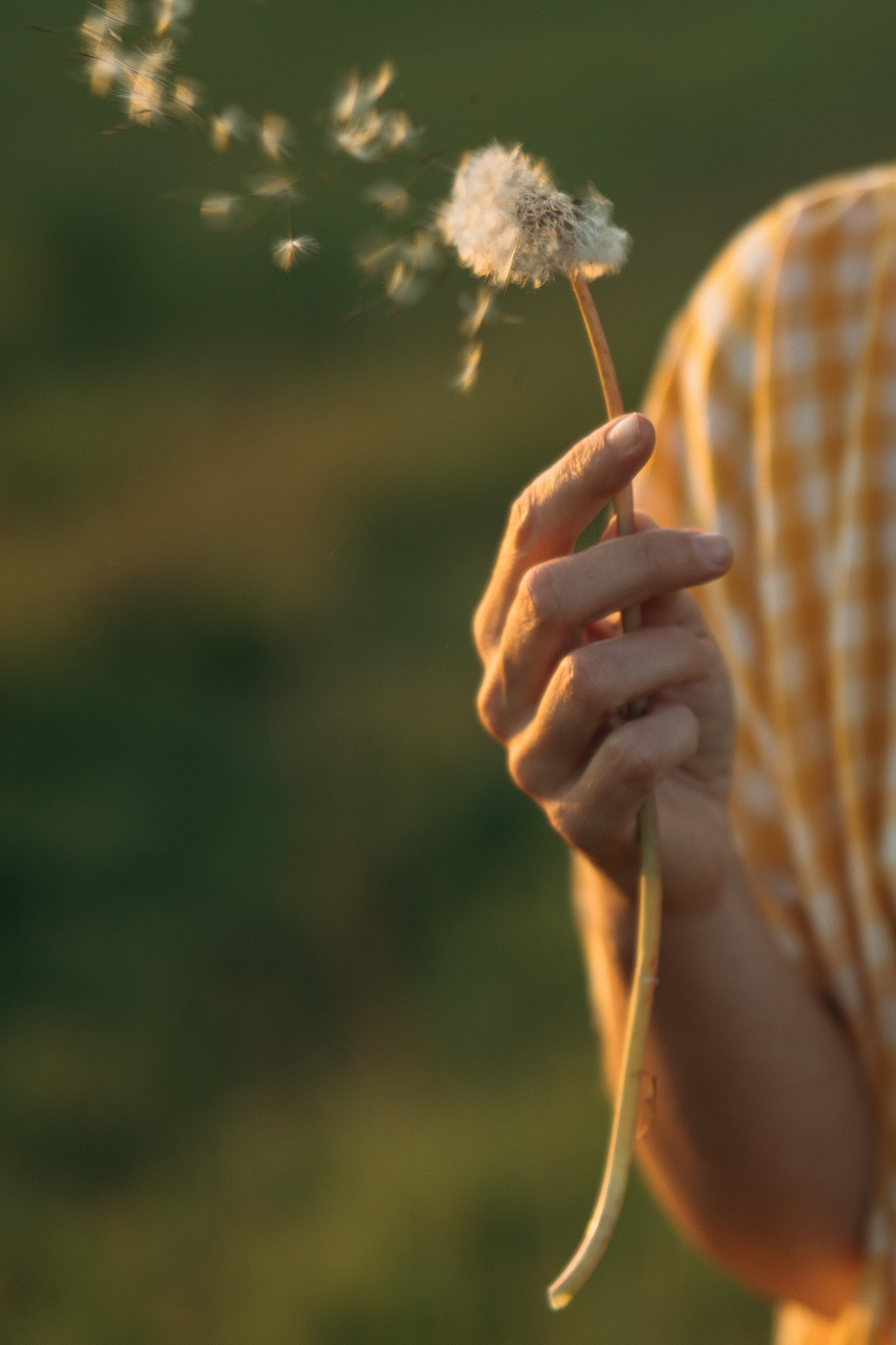 Дима и Маша. Фотограф Екатерина Заречнова