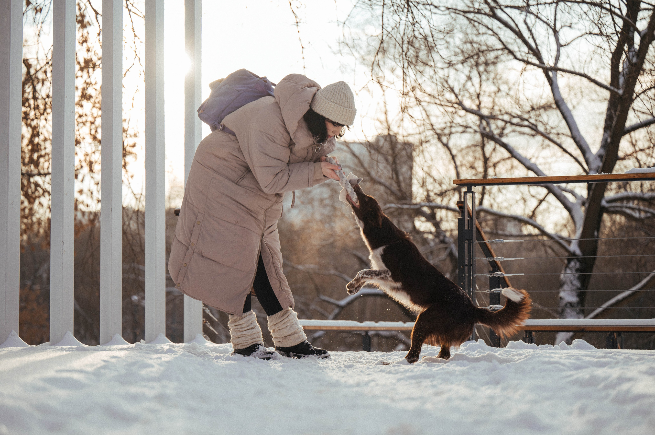 Даша и Мика. Семейный фотограф анималист Ананьева Мария — Москва