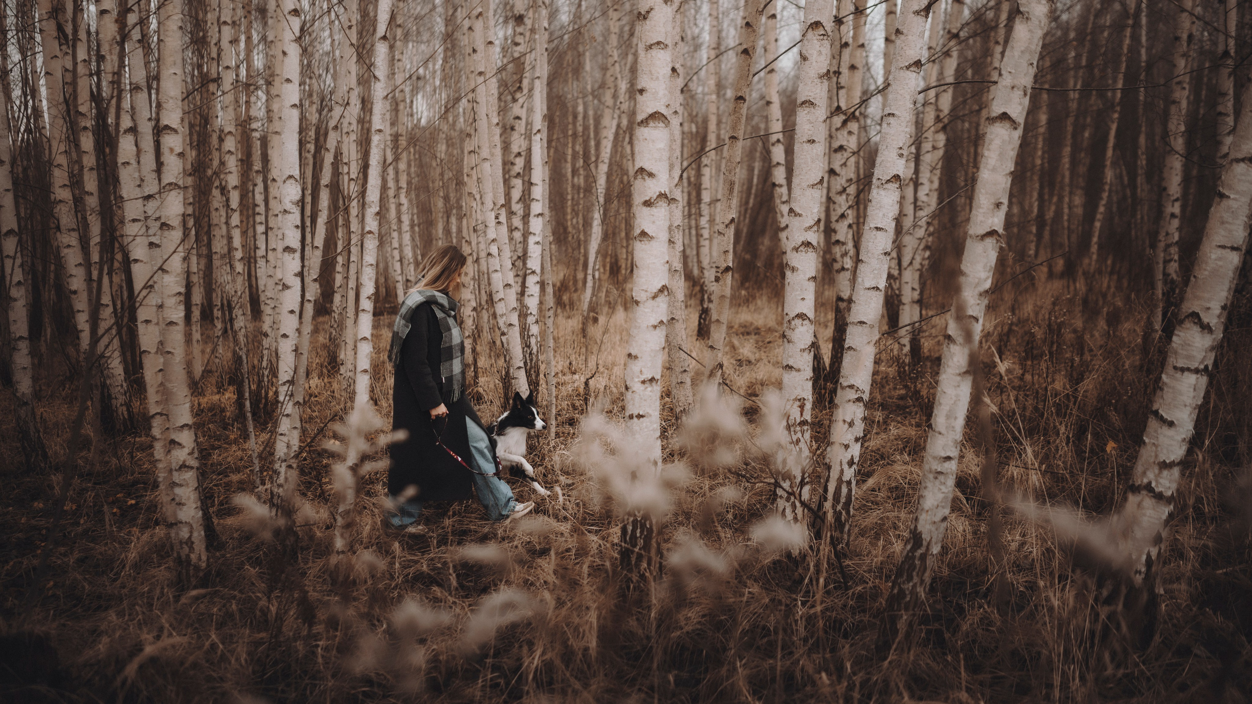 Даша и Того. Семейный фотограф анималист Ананьева Мария — Москва