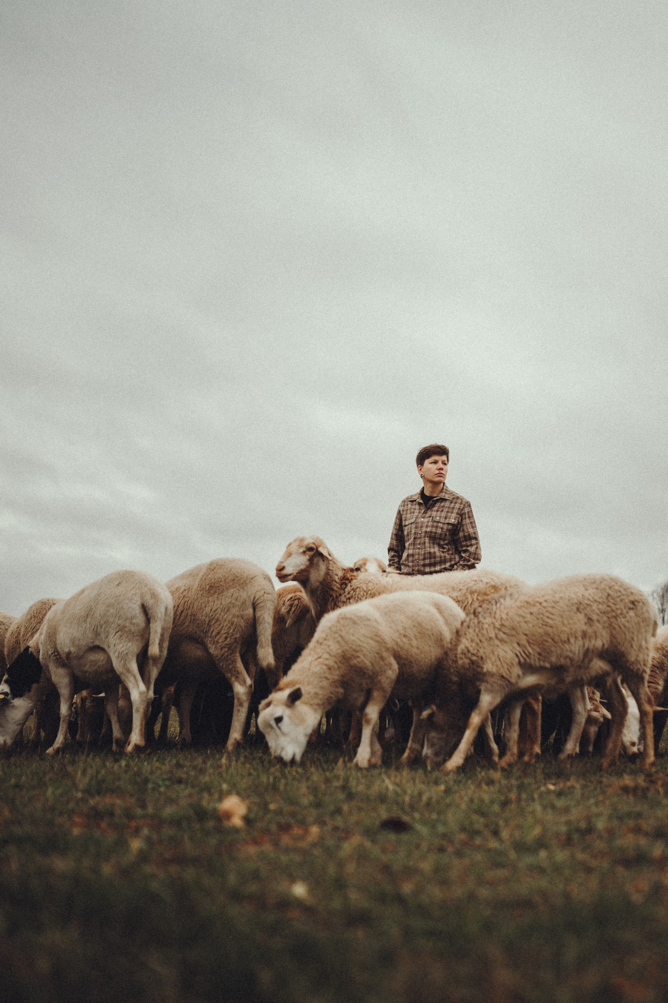 Настя и Рэги на ферме. Семейный фотограф анималист Ананьева Мария — Москва