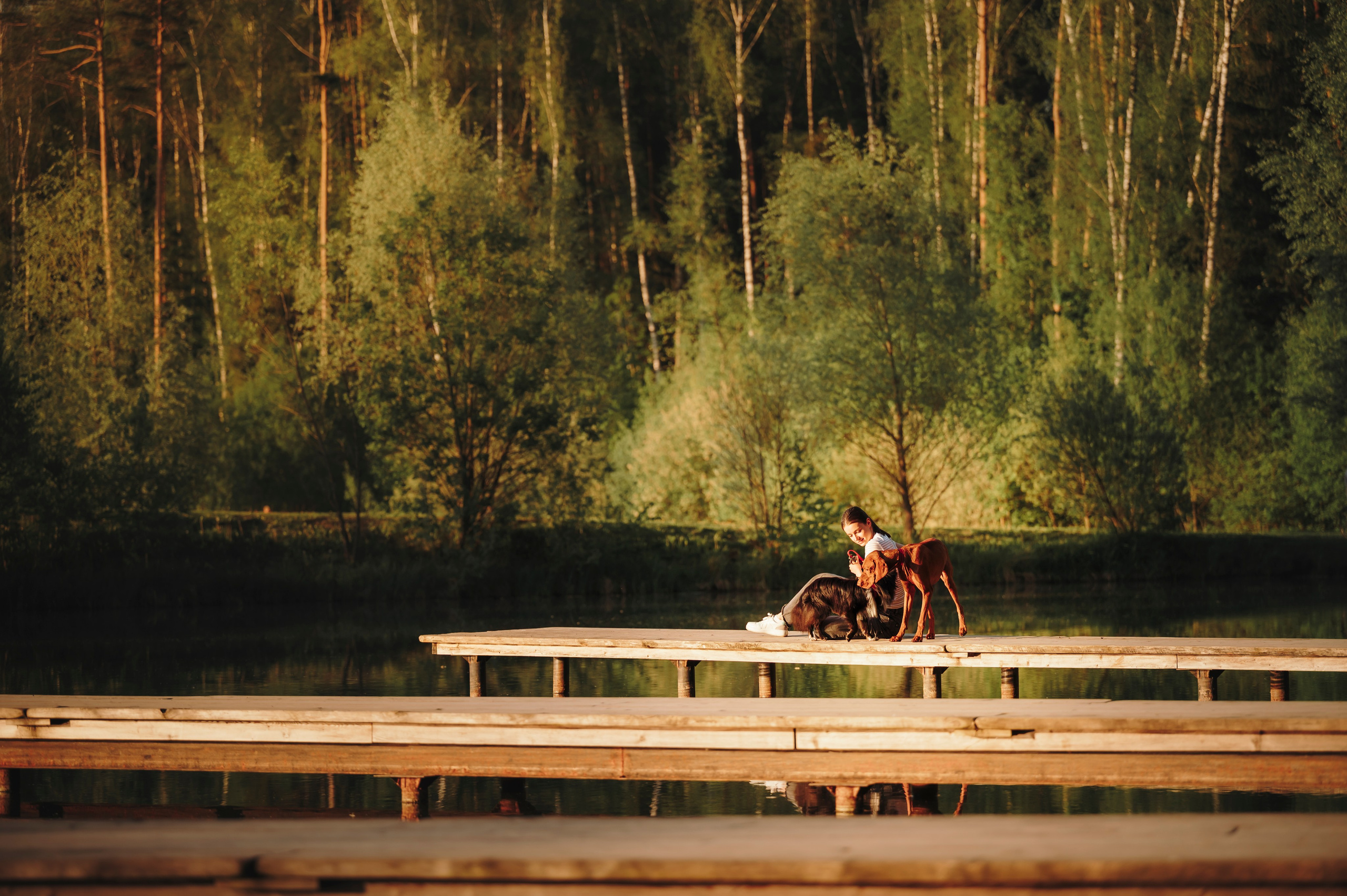 Юля, Никс и Чайф. Семейный фотограф анималист Ананьева Мария — Москва
