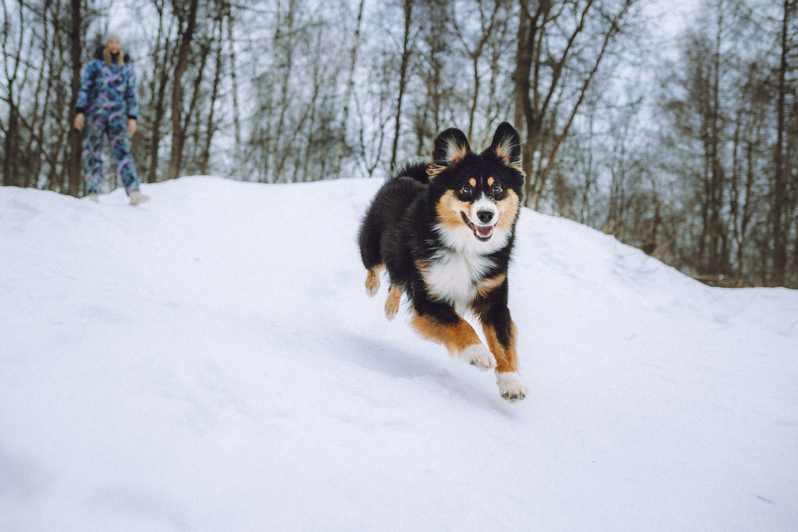 Таня, Ваня и Гром
