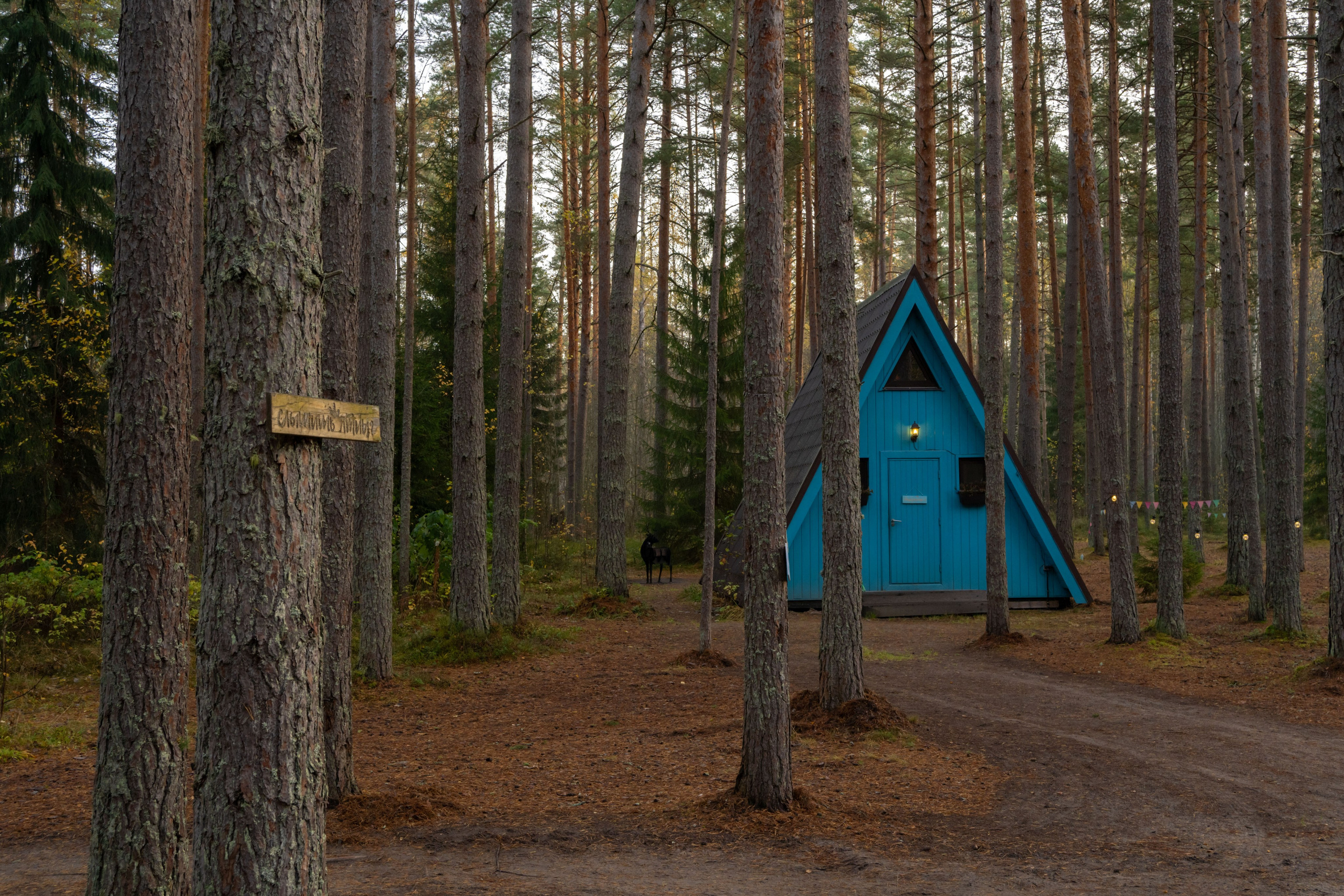 Анастасия Лакалова. Фотограф интерьеров