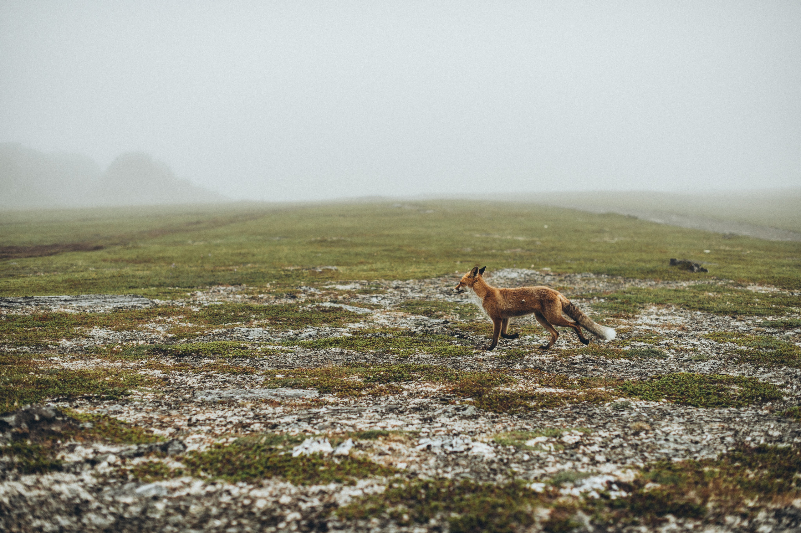 Обо мне. Фотограф Наталья Могилевская Мурманск Териберка Сейдозеро Рыбачий