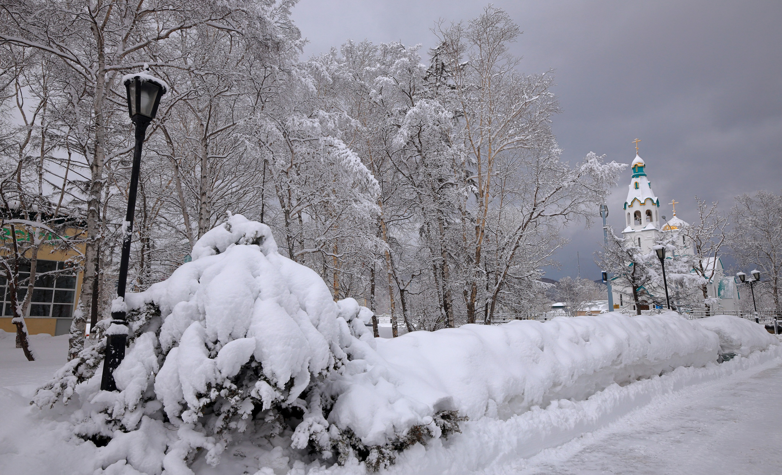 О.Сахалин. Фотограф. г. Южно-Сахалинск. Олег Толстов