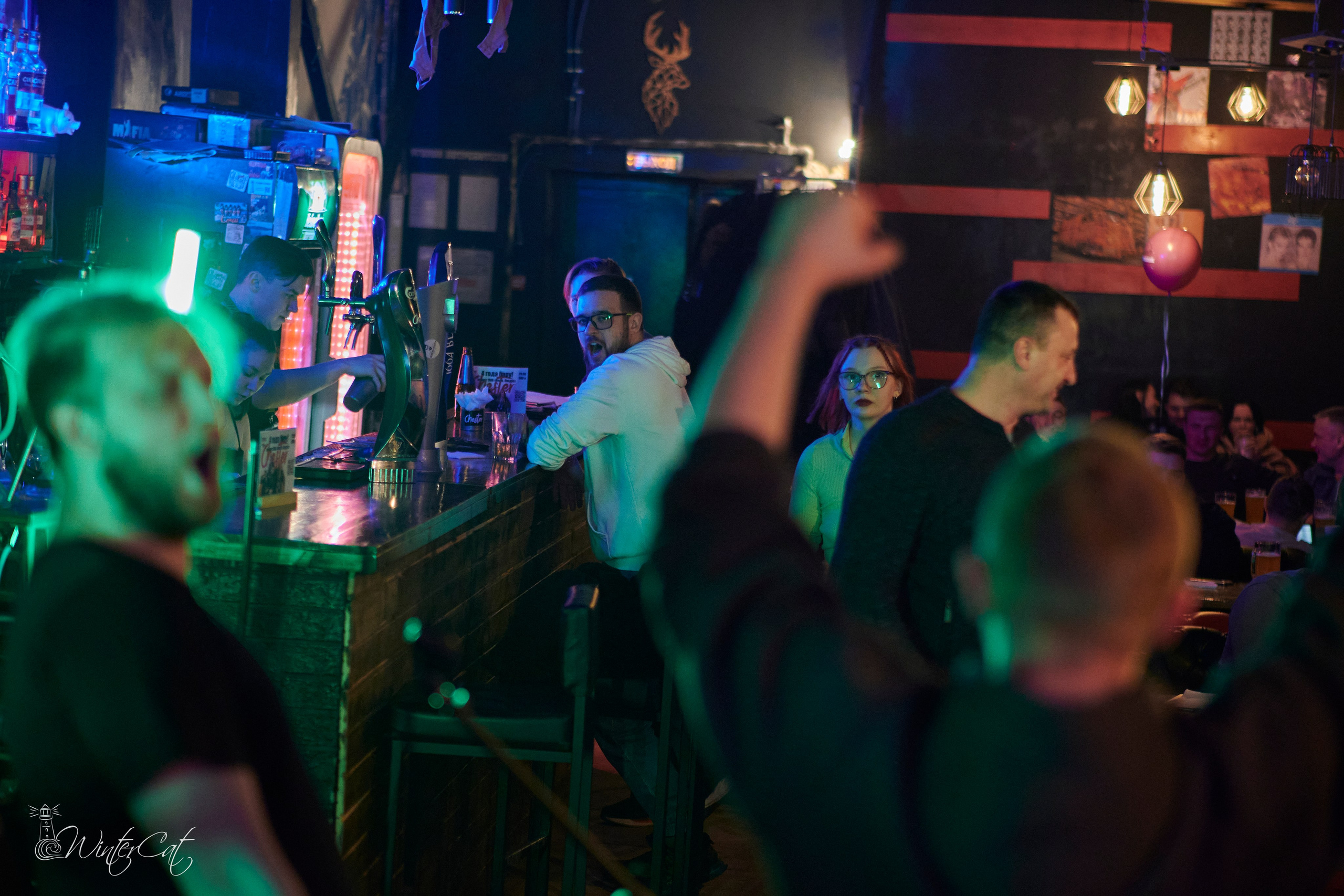 День Рождения Честер Четыре Года. Портретный и репортажный фотограф в Магадане Андрей Нефедов WinterCatPhoto